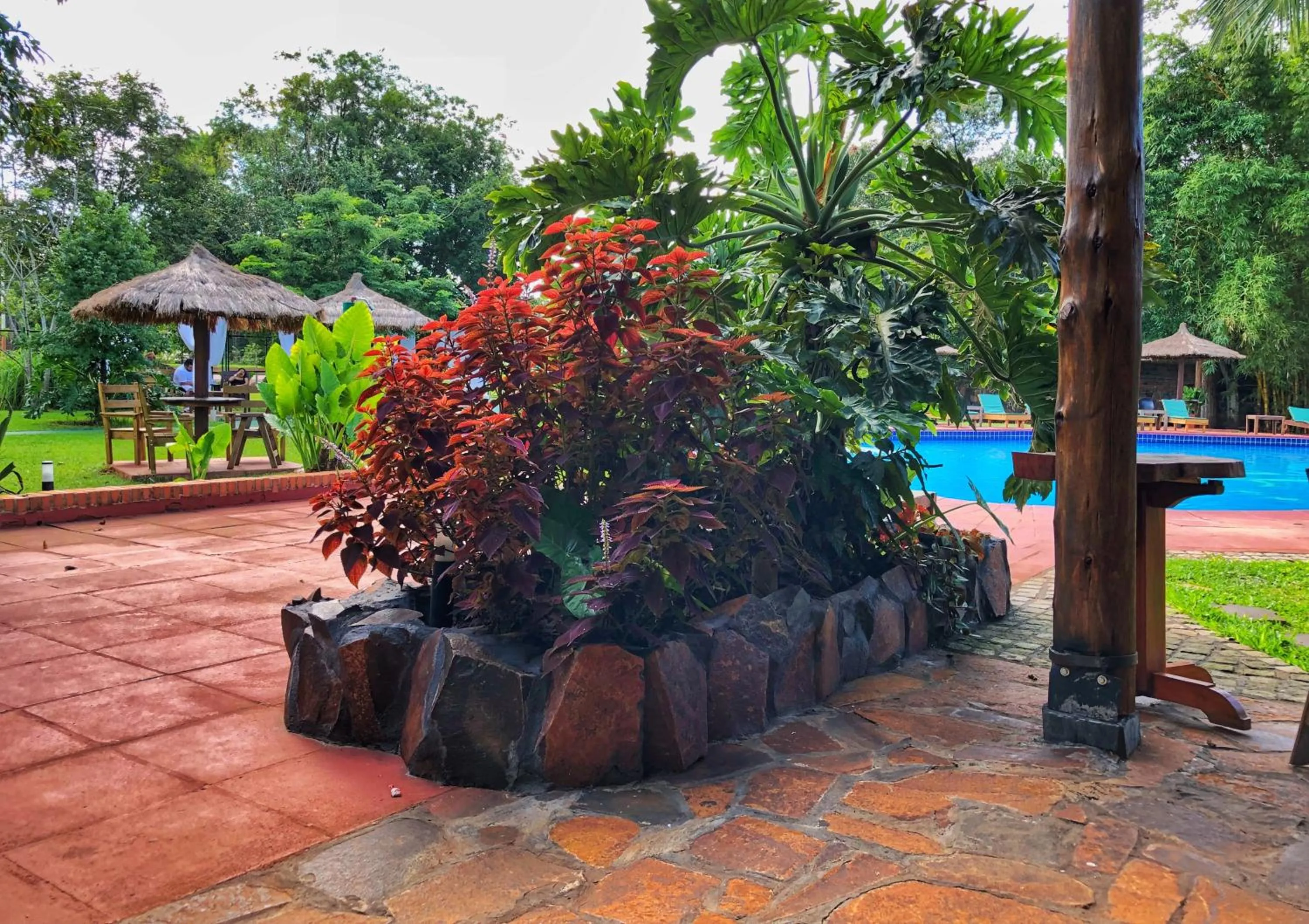 Garden in Hotel Carmen
