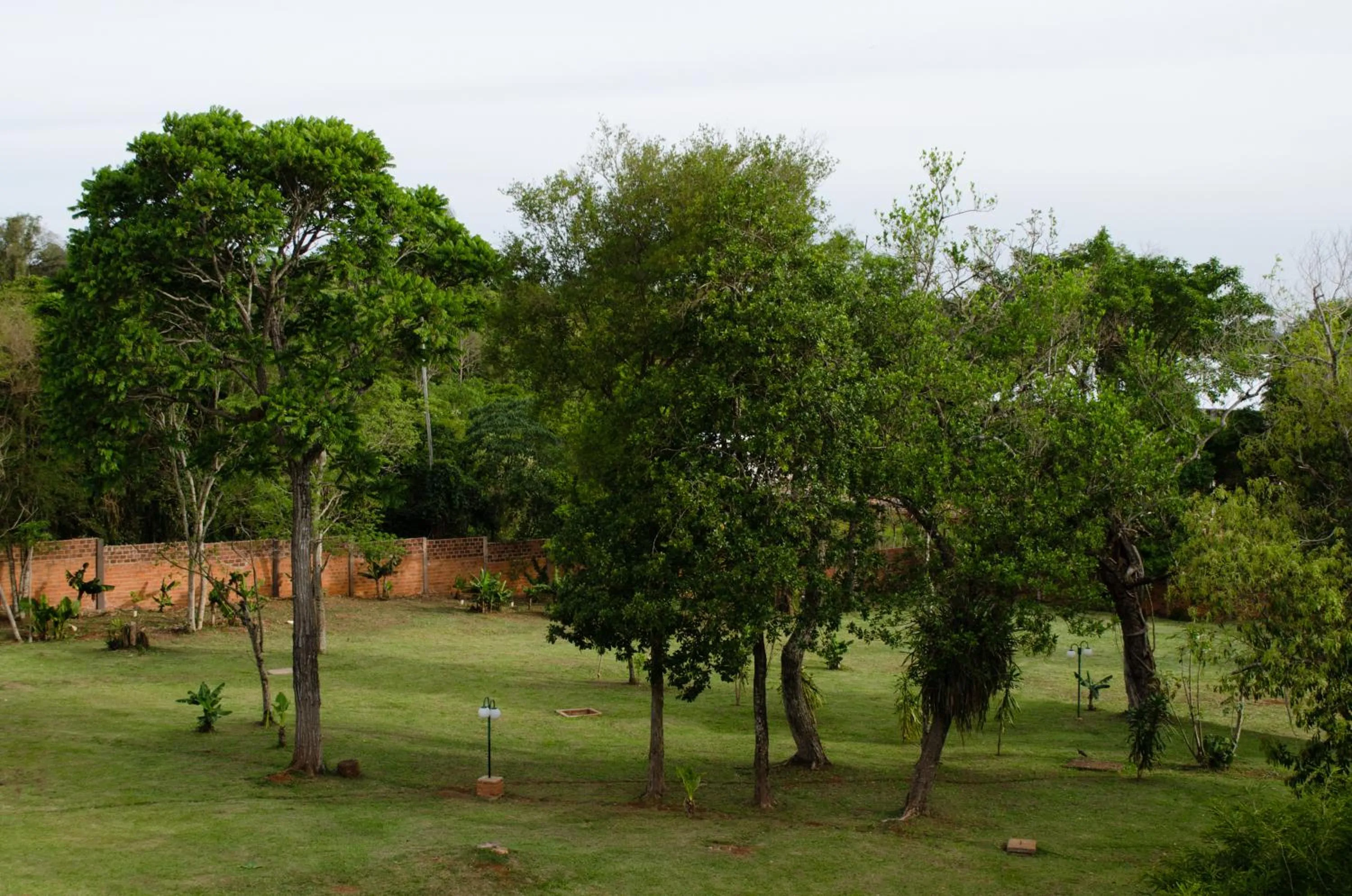 Garden in Hotel Carmen