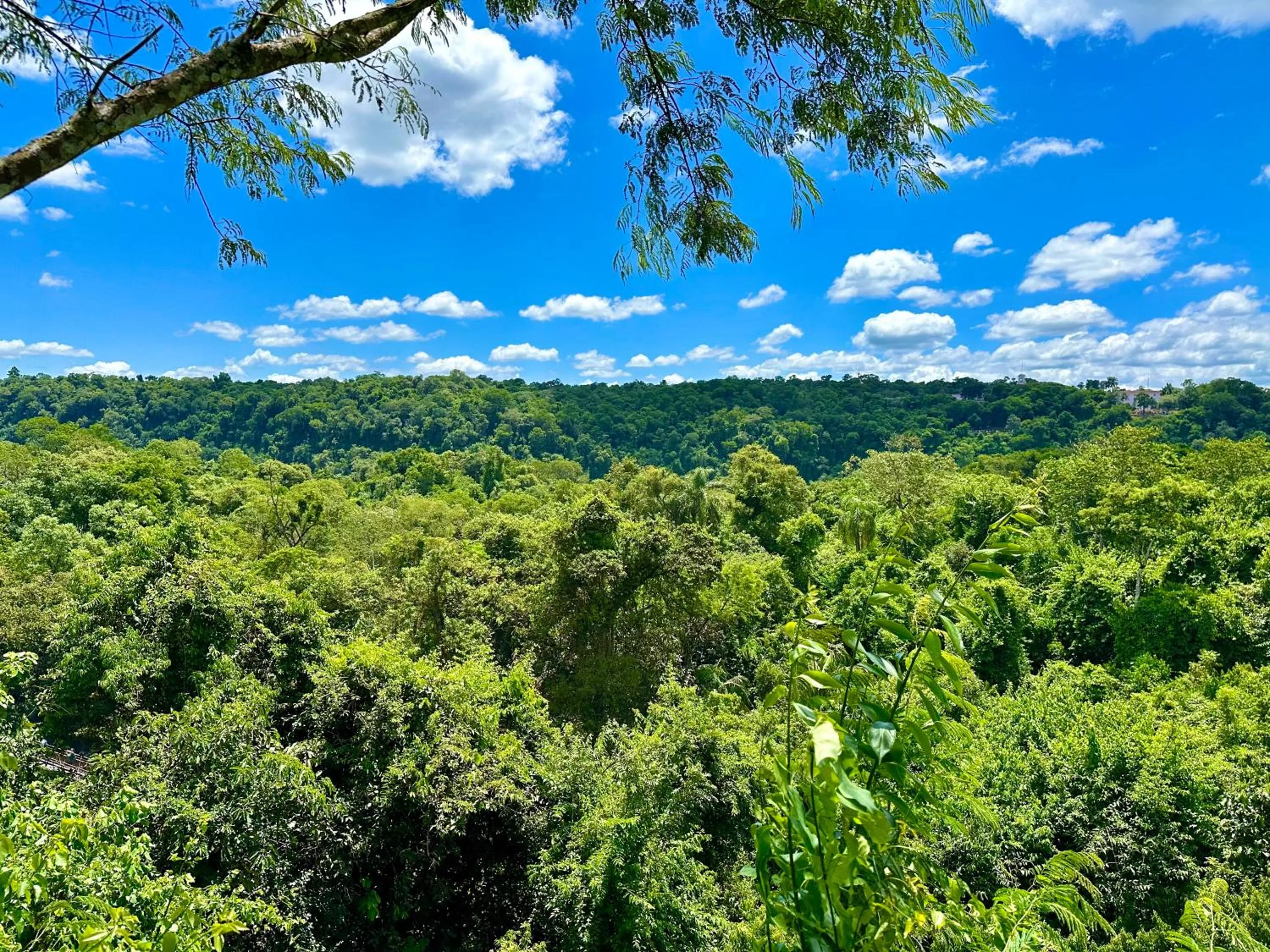 Natural landscape in Hotel Carmen