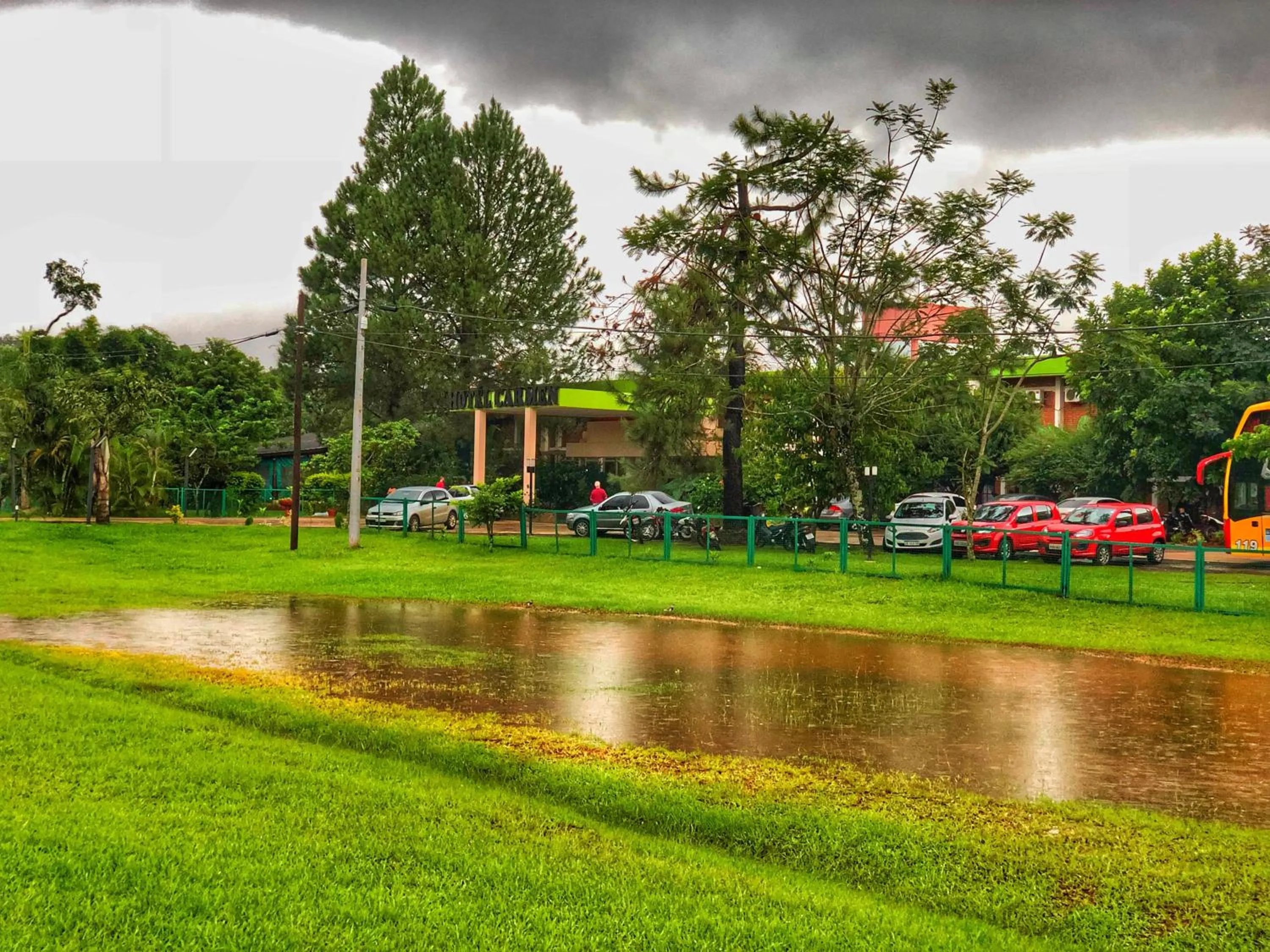 Natural landscape in Hotel Carmen
