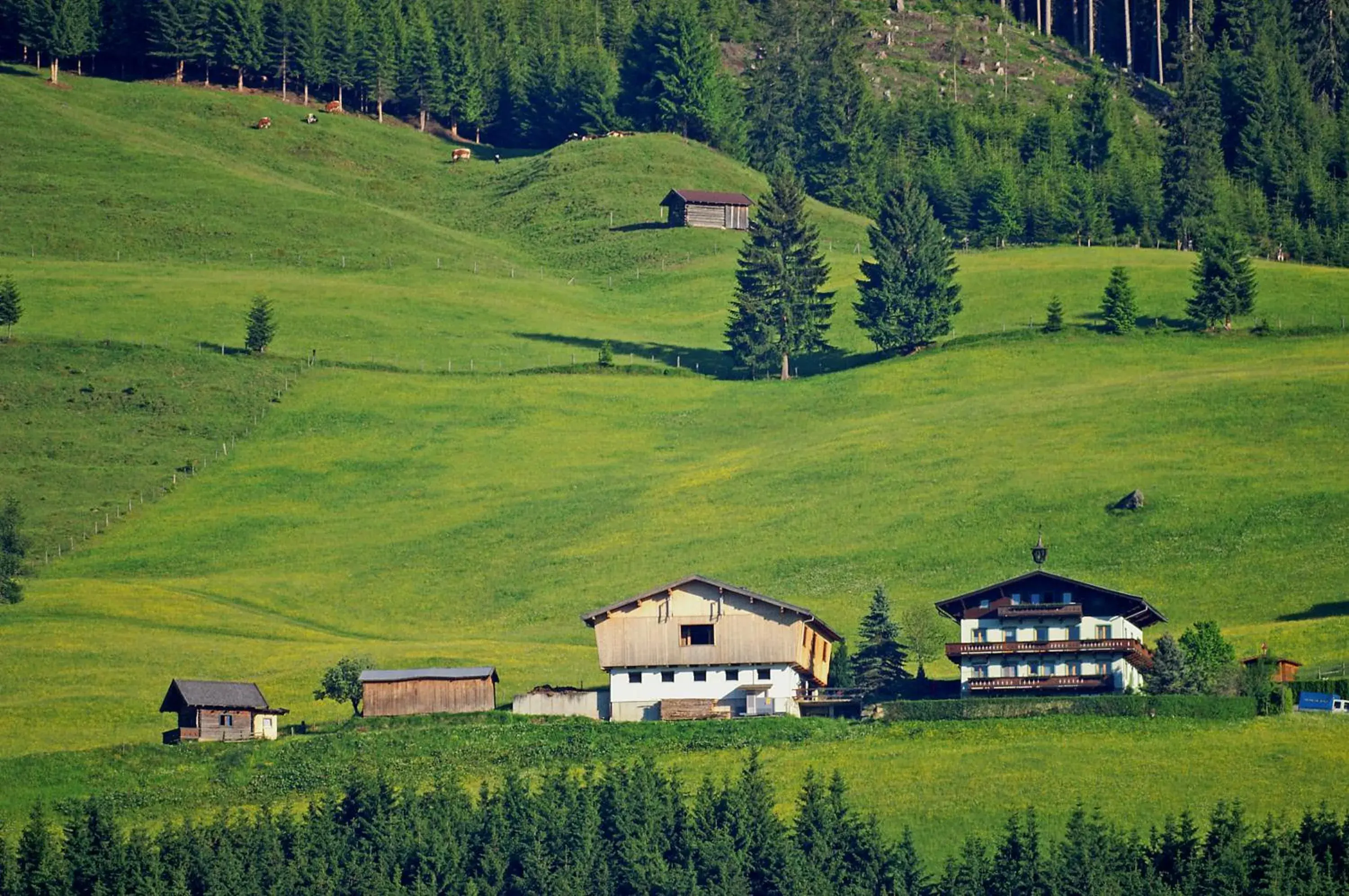 Ferienhaus Hochwimmer Ferienhaus Hochwimmer