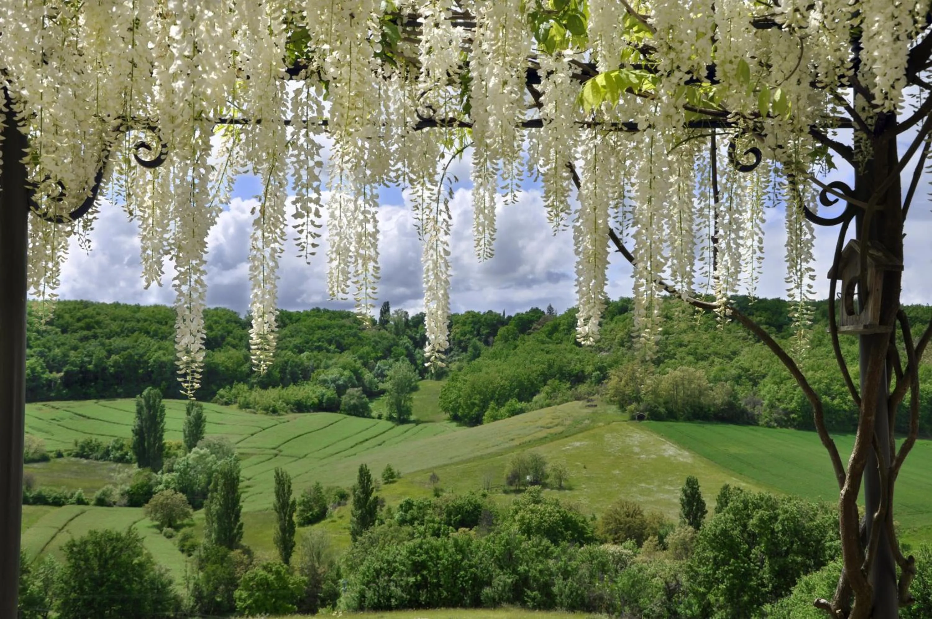 Garden view in Le Relais de Roquefereau