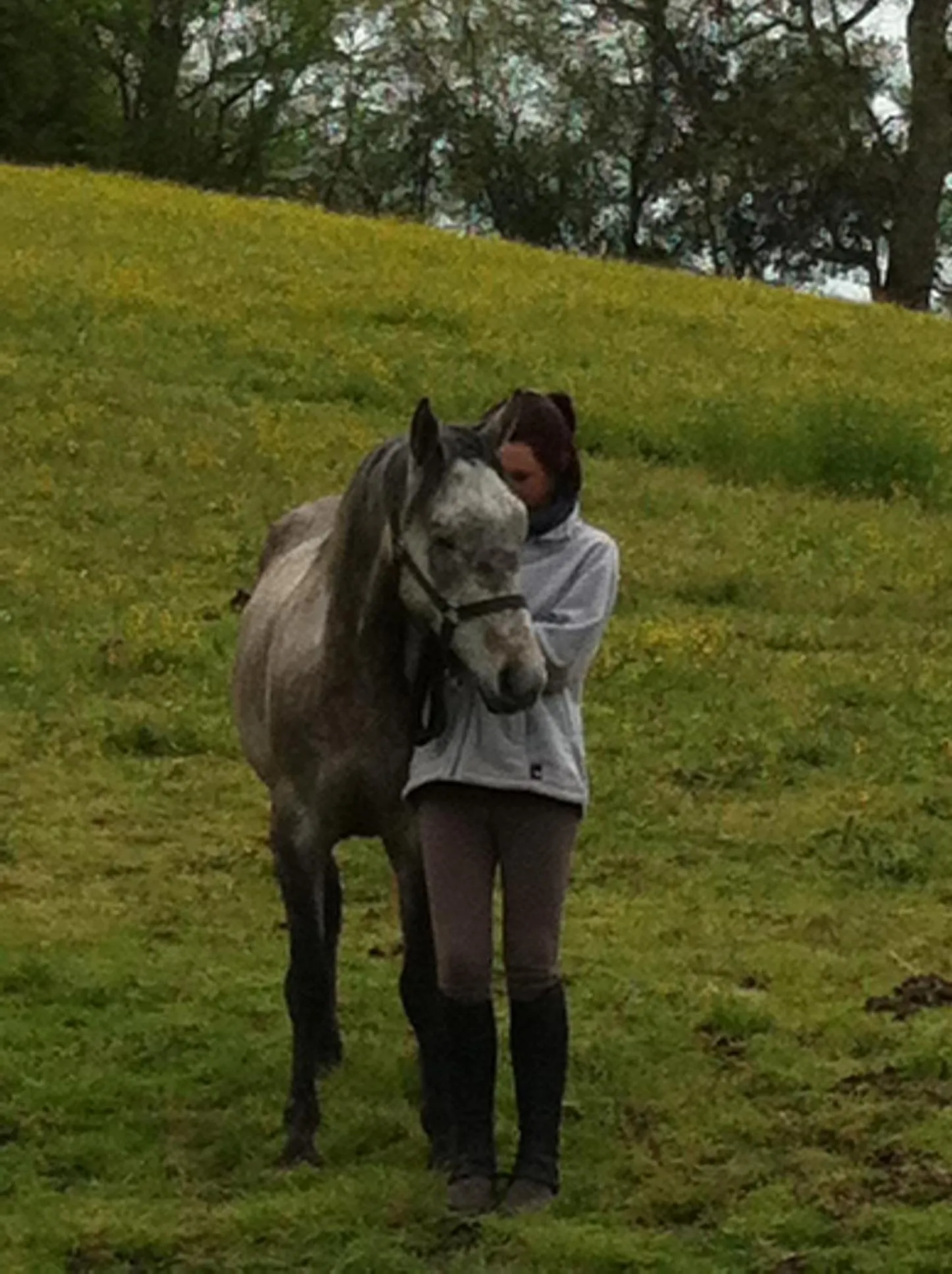 Horse-riding in Le Relais de Roquefereau