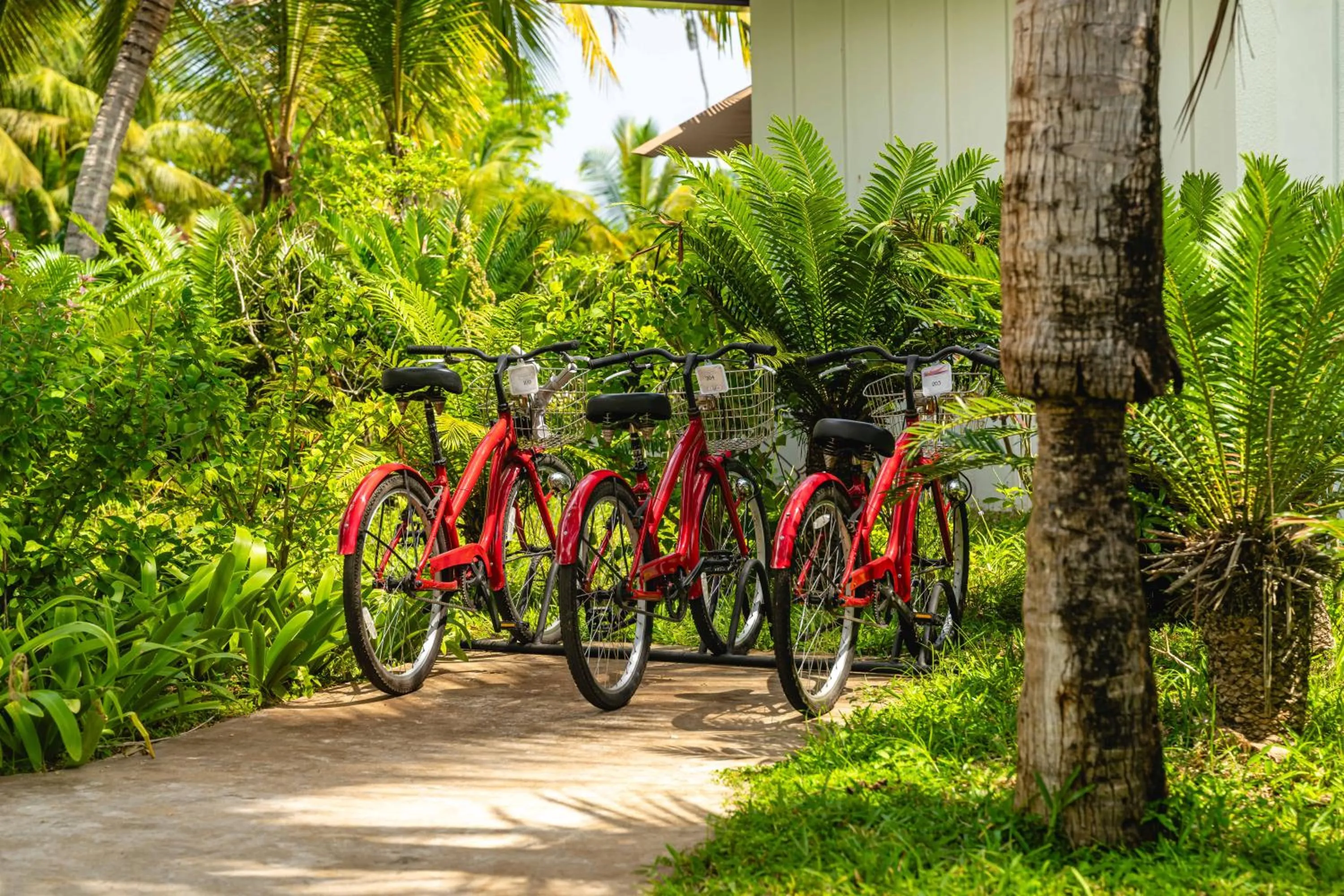 Activities in The Residence Zanzibar