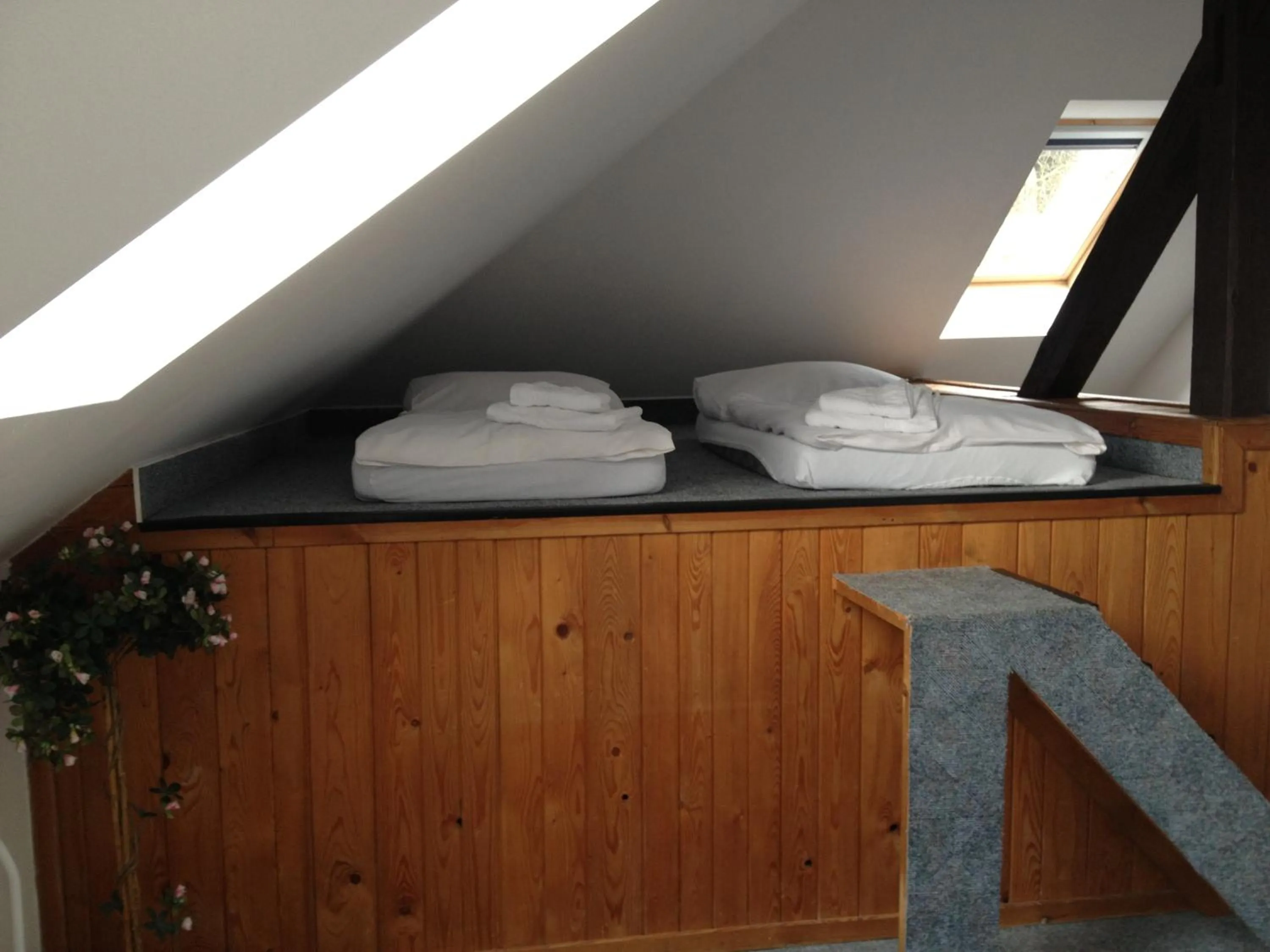 Other in Pension Filip