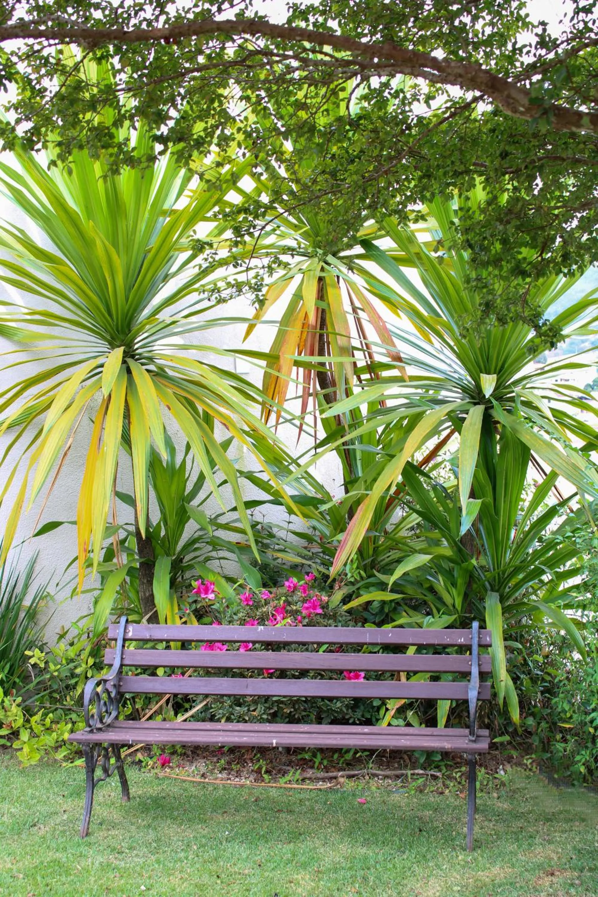 Garden in Cyrilo's Palace Hotel