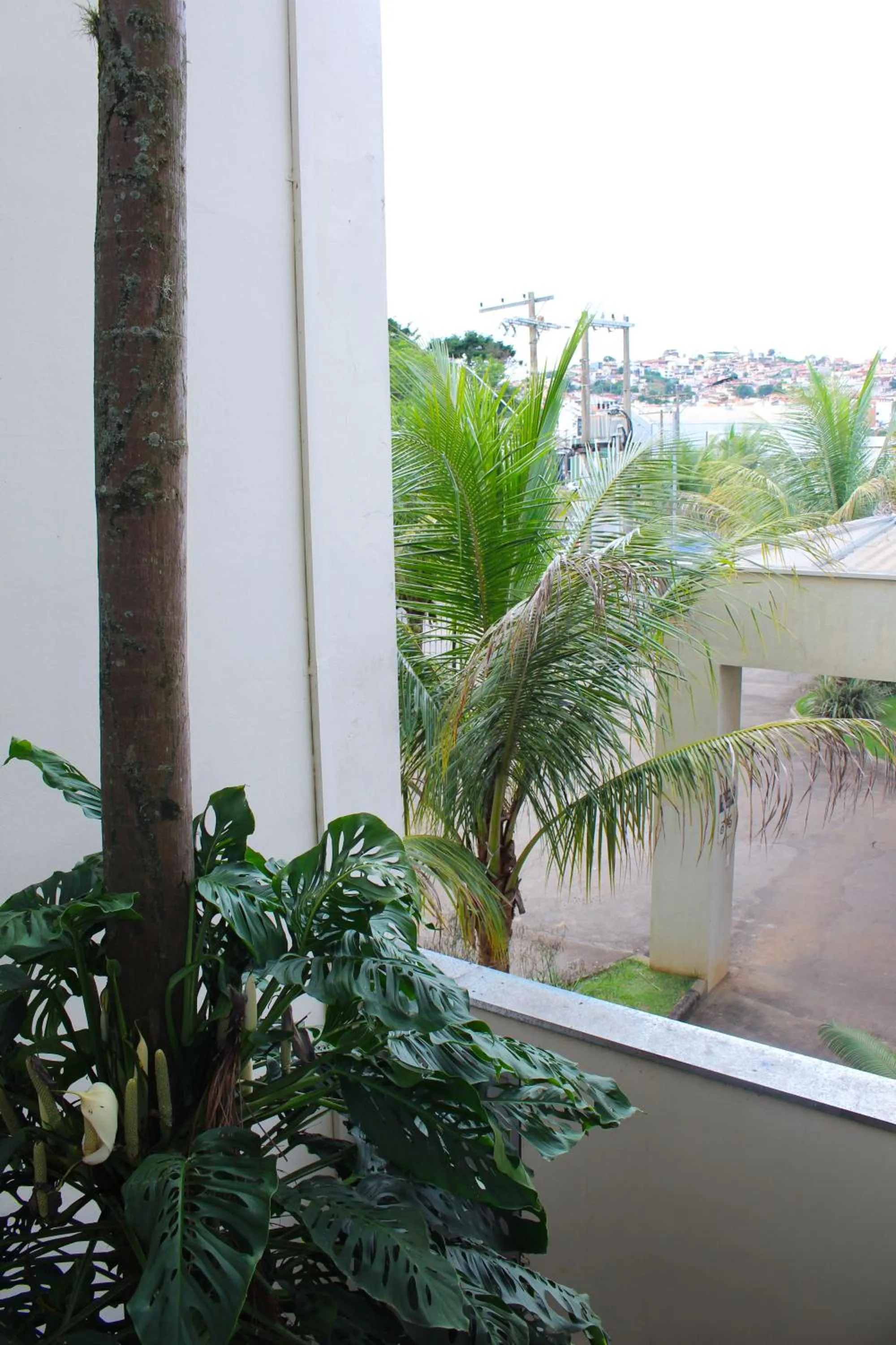Garden view in Cyrilo's Palace Hotel