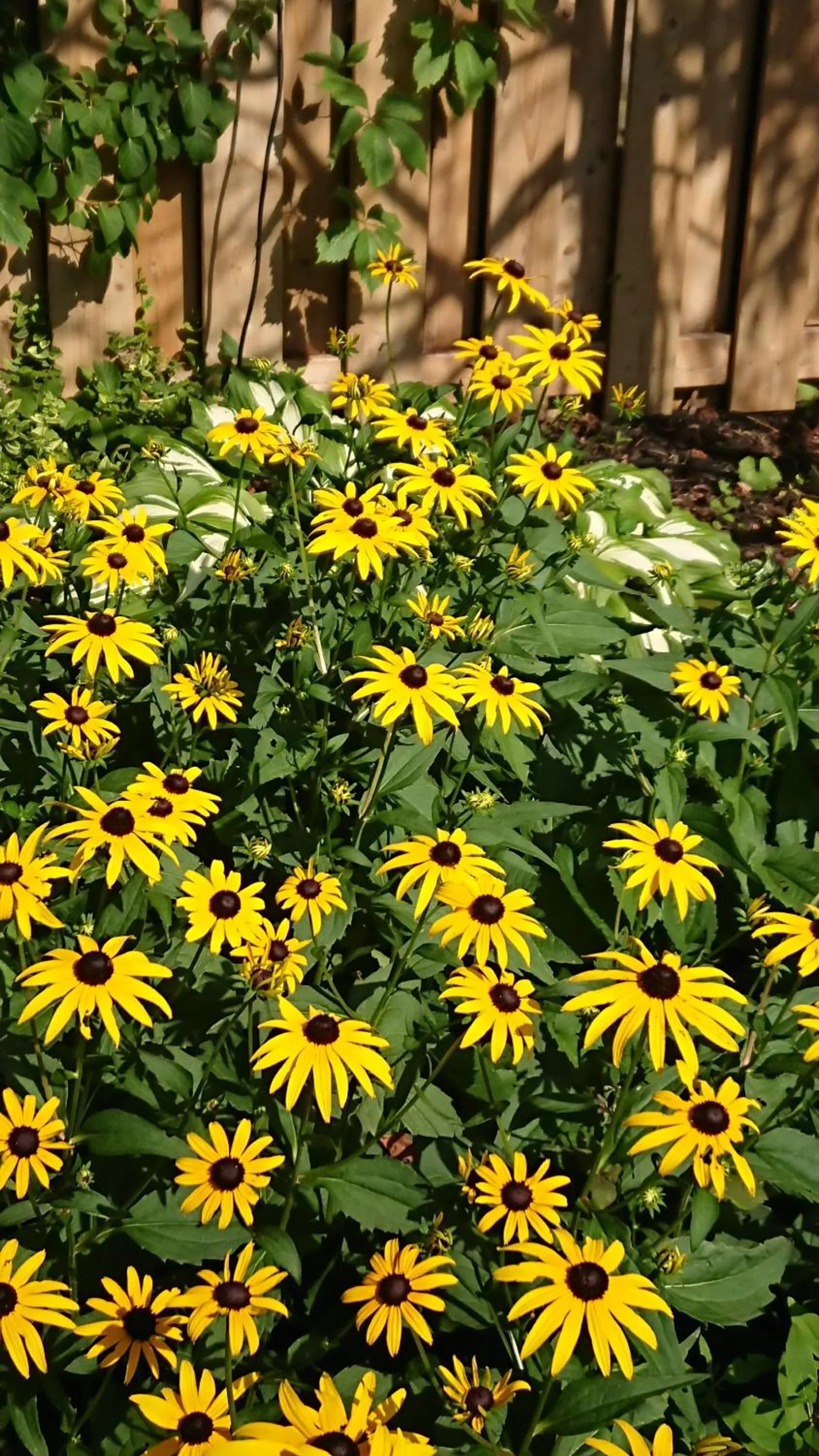 Property building in Colborne Bed and Breakfast