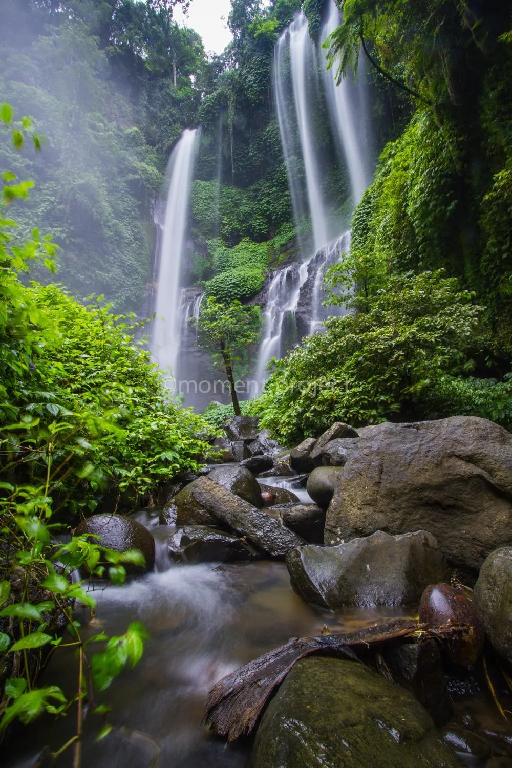 Natural landscape in Kubu Benoa Guest House