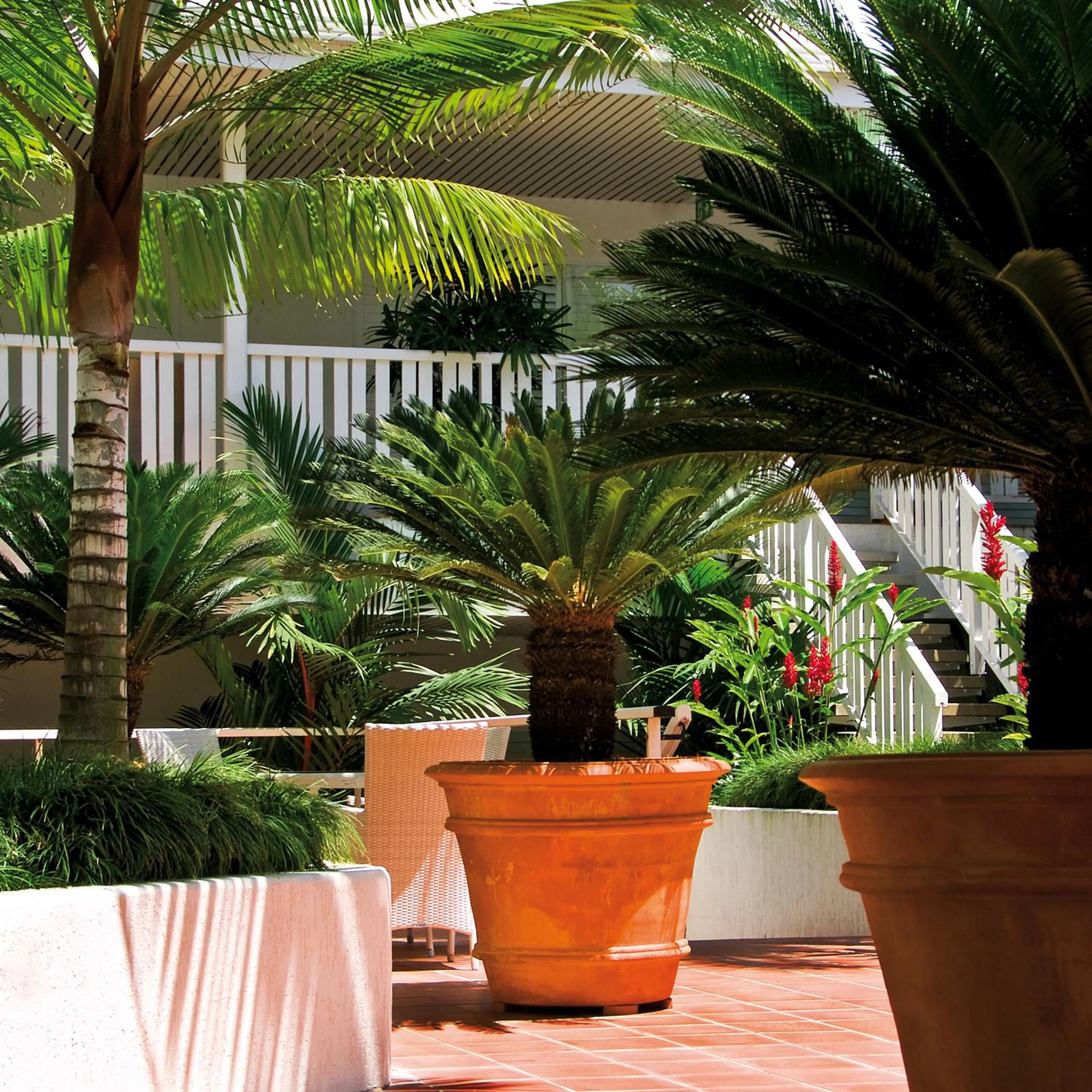 Decorative detail in Ramada By Wyndham Cairns City Centre