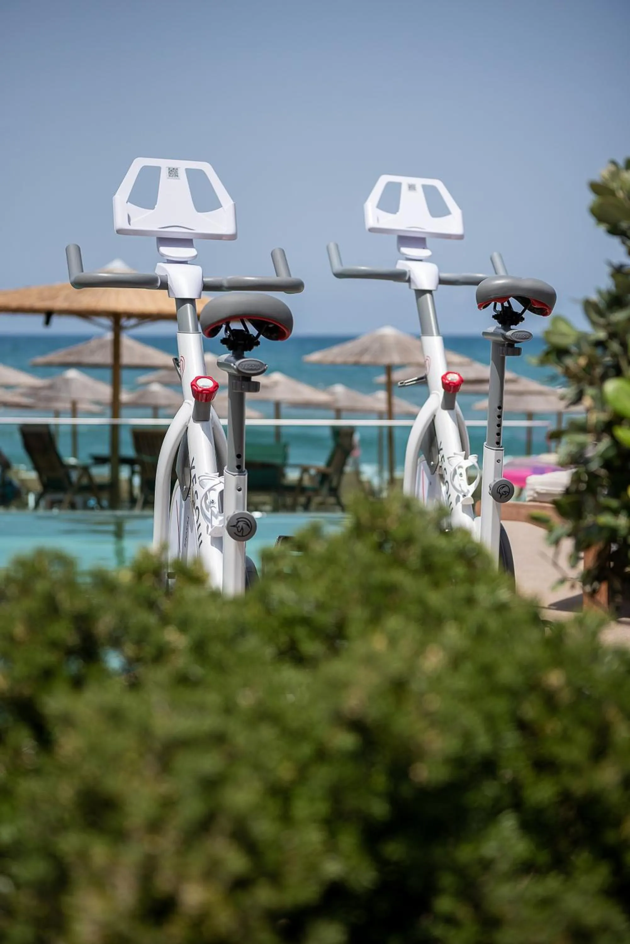 Activities in Vergina Beach Hotel