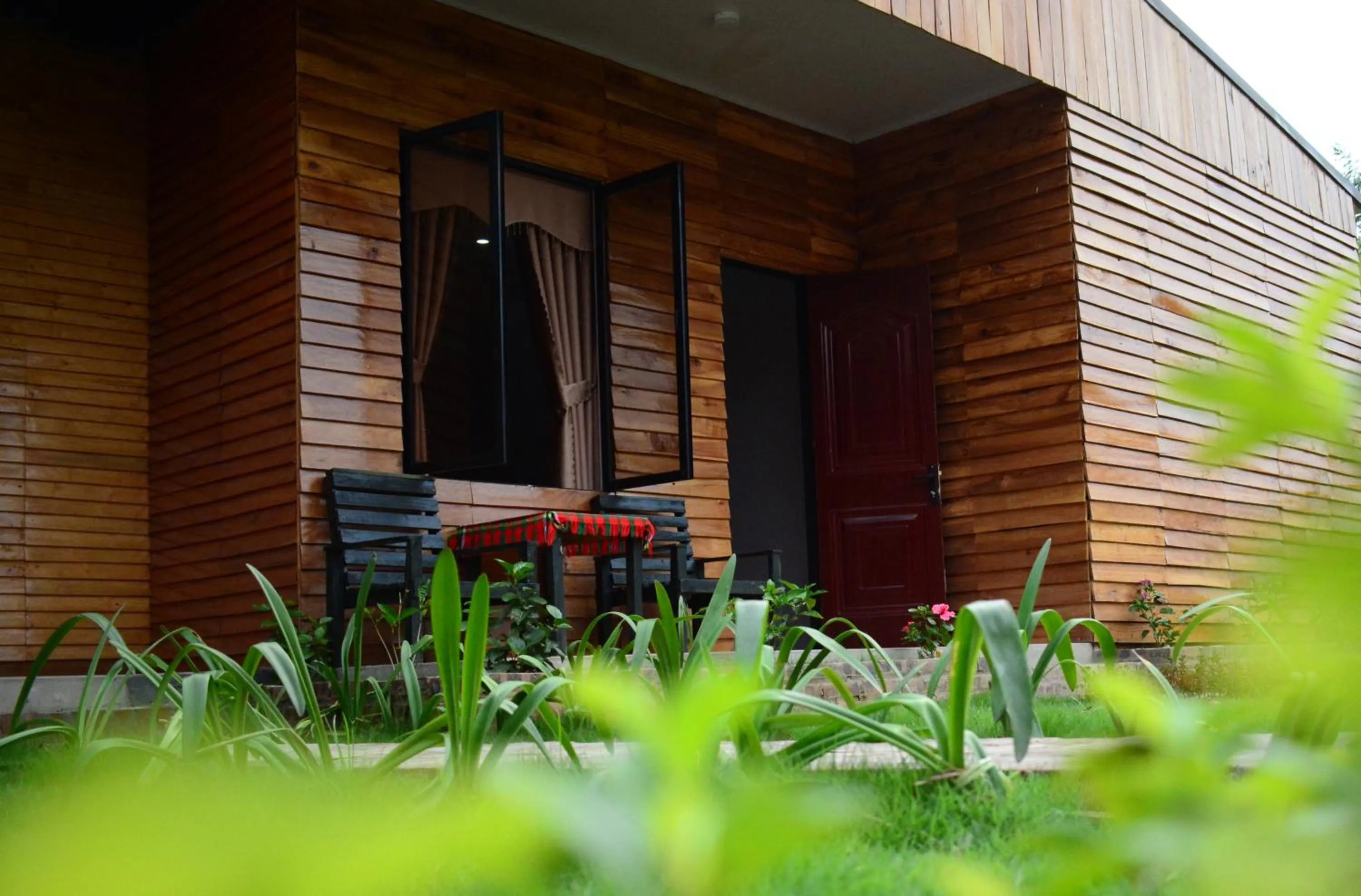 Property building in Golden Jungle House