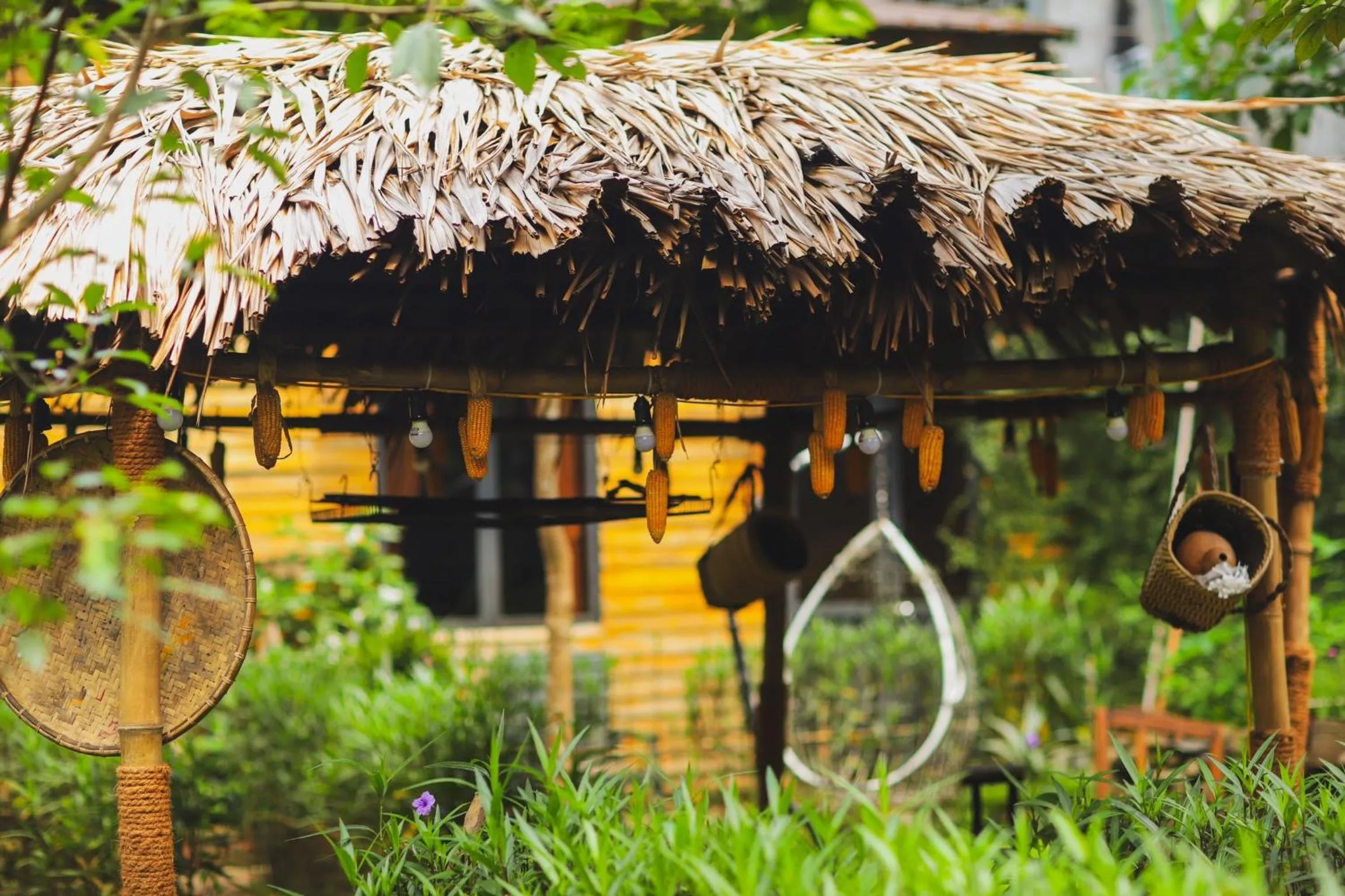 Patio in Golden Jungle House