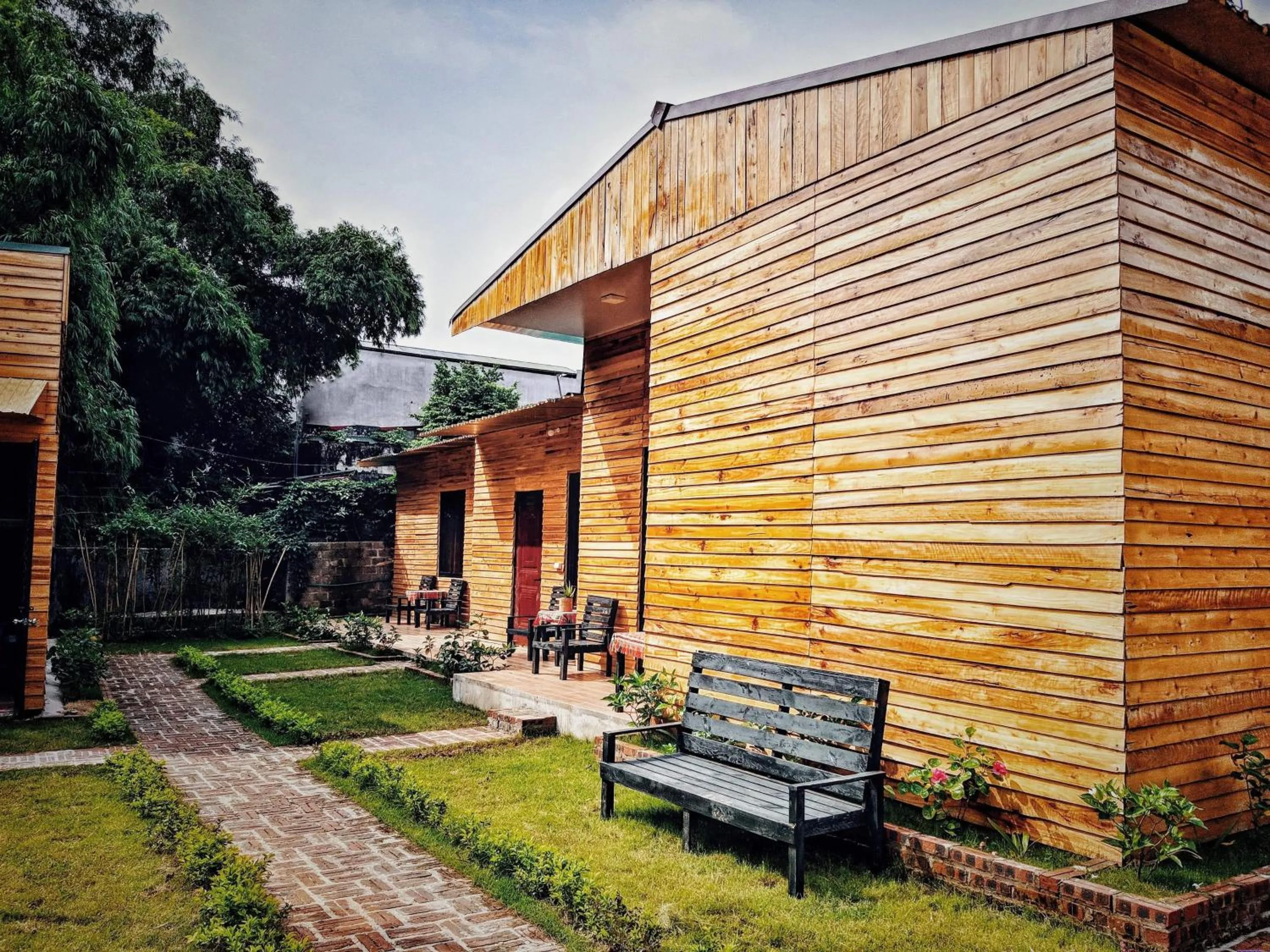 Garden in Golden Jungle House