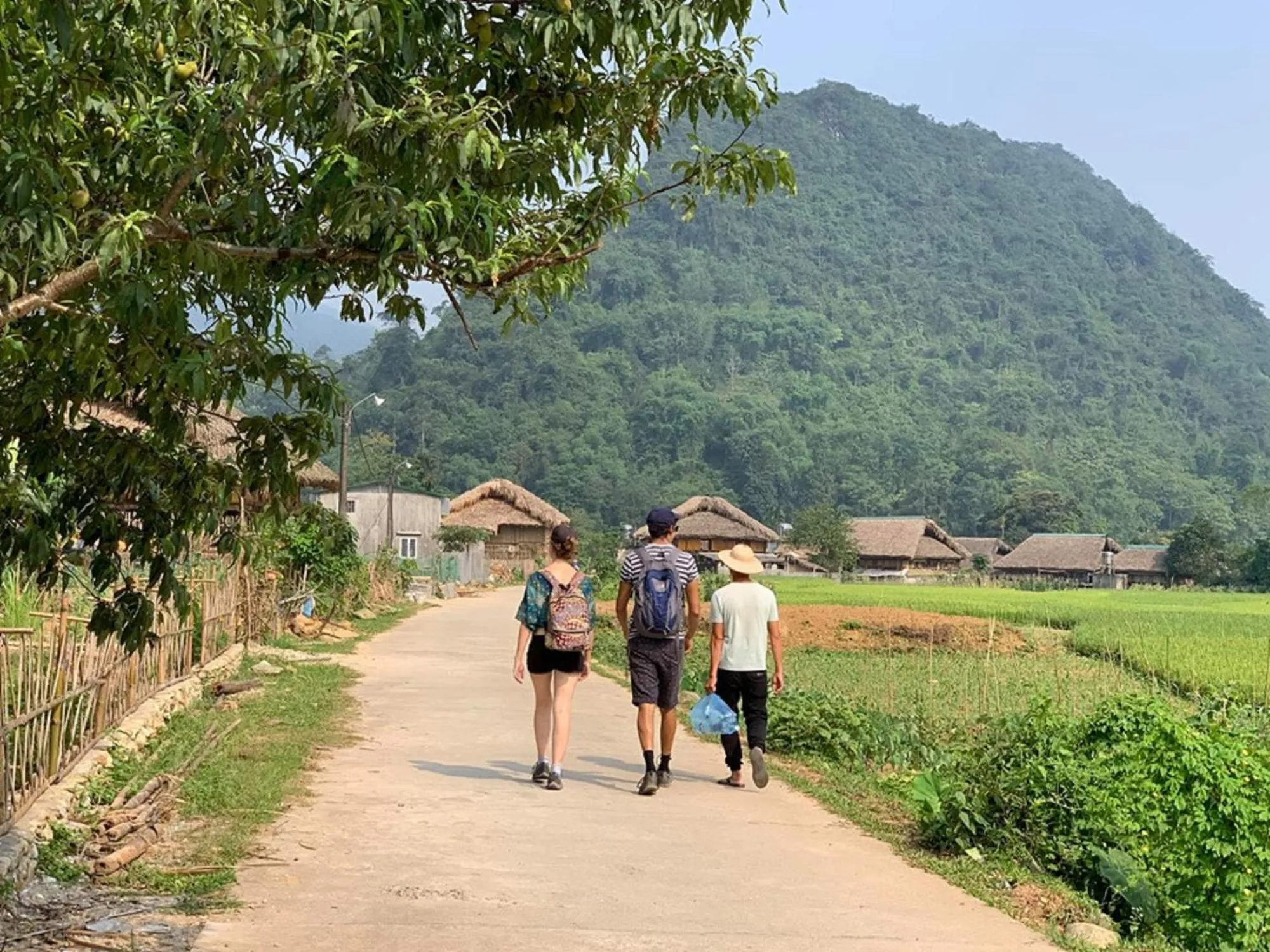 group of guests in Golden Jungle House