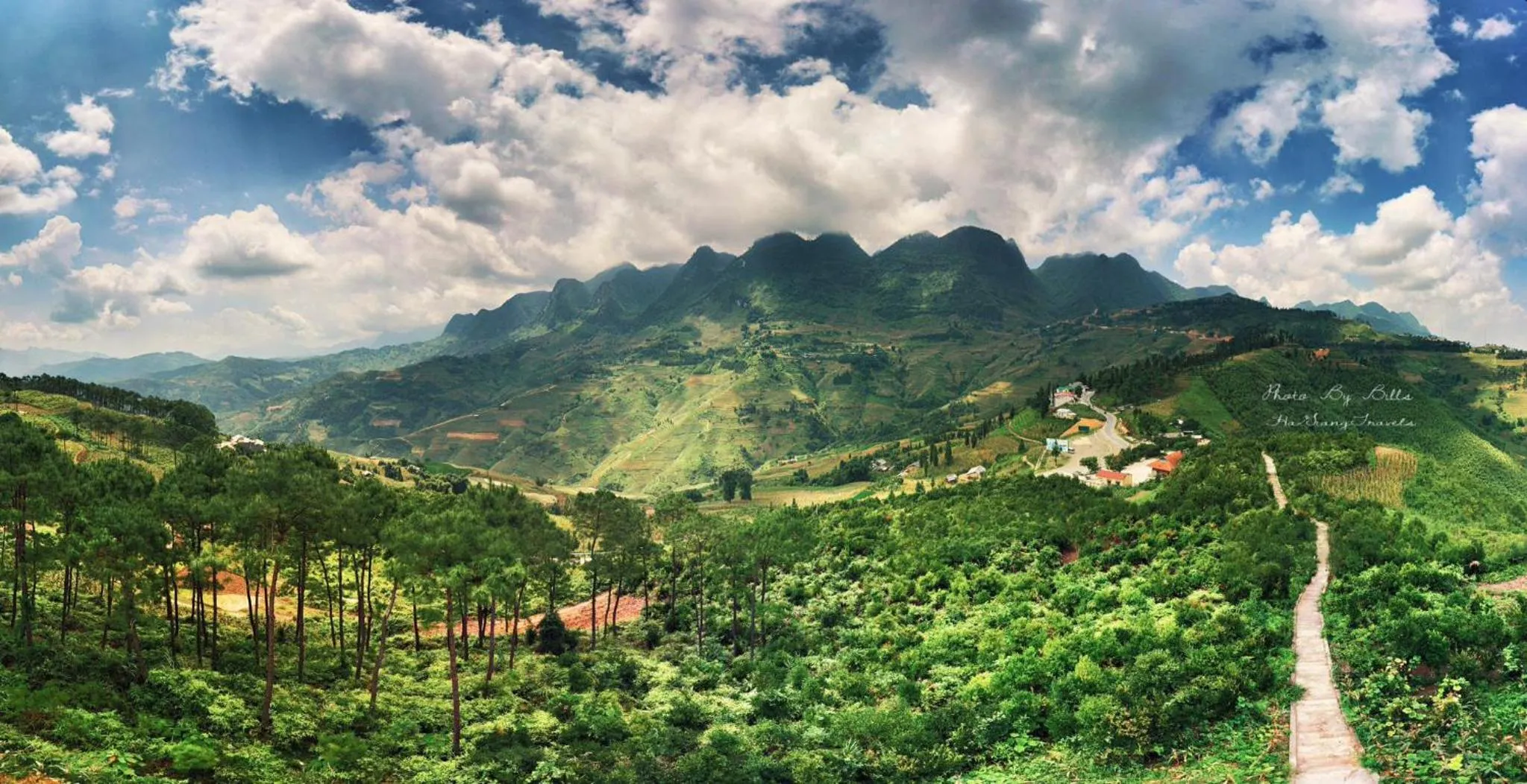 Natural landscape in Golden Jungle House