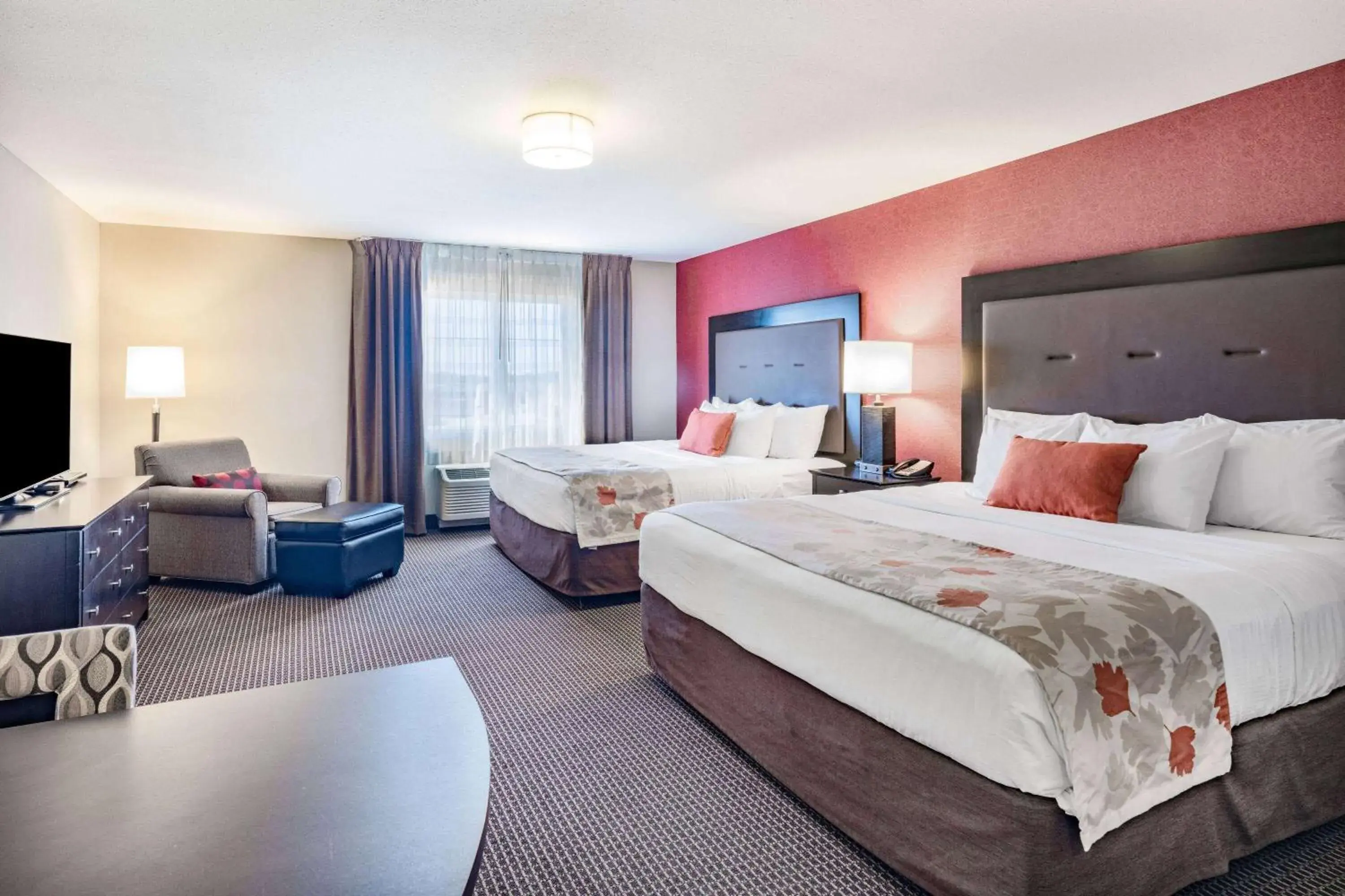 Bed in Hawthorn Suites by Wyndham Williston Bed in Hawthorn Suites by Wyndham Williston