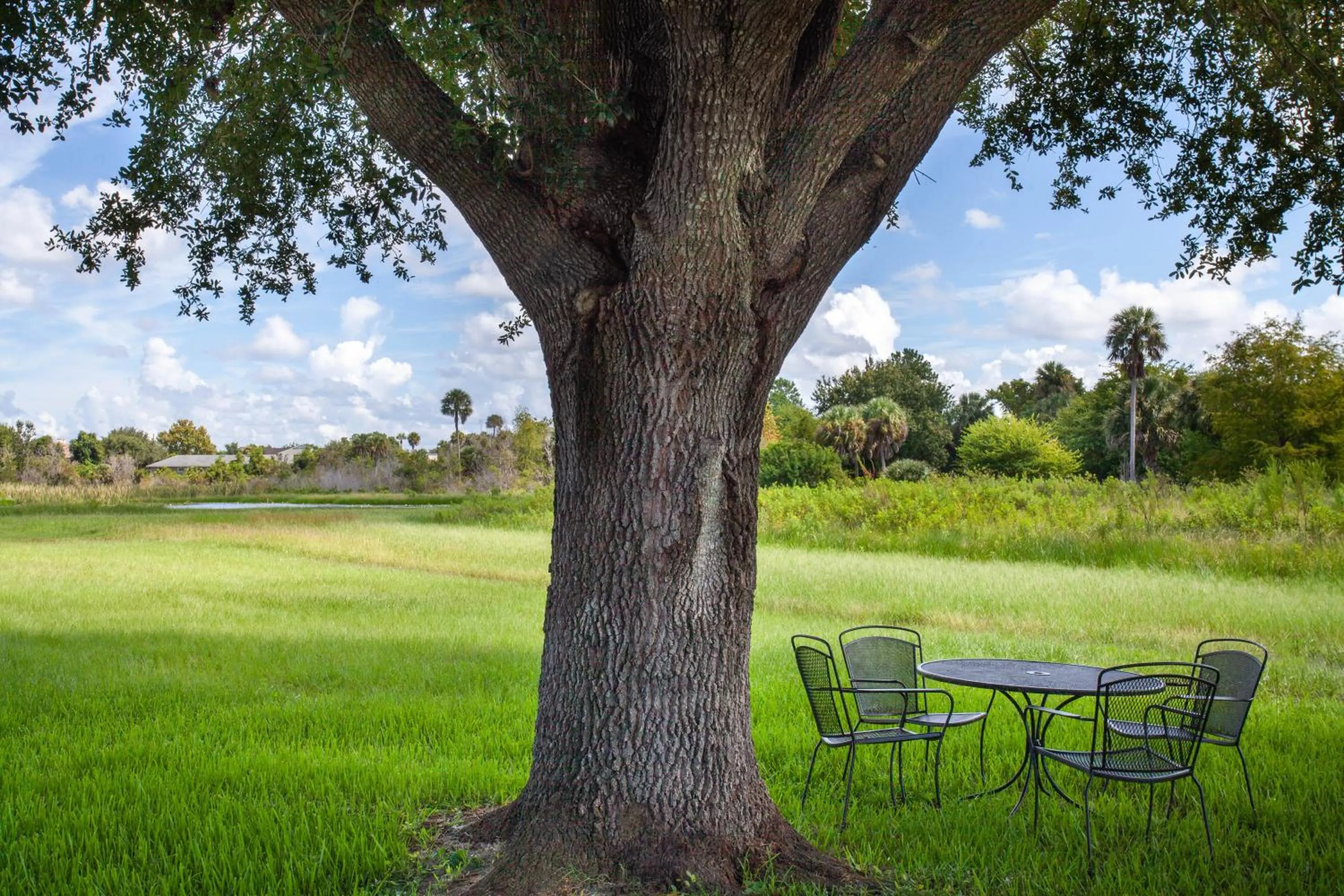 Garden view in Travelodge by Wyndham Deltona