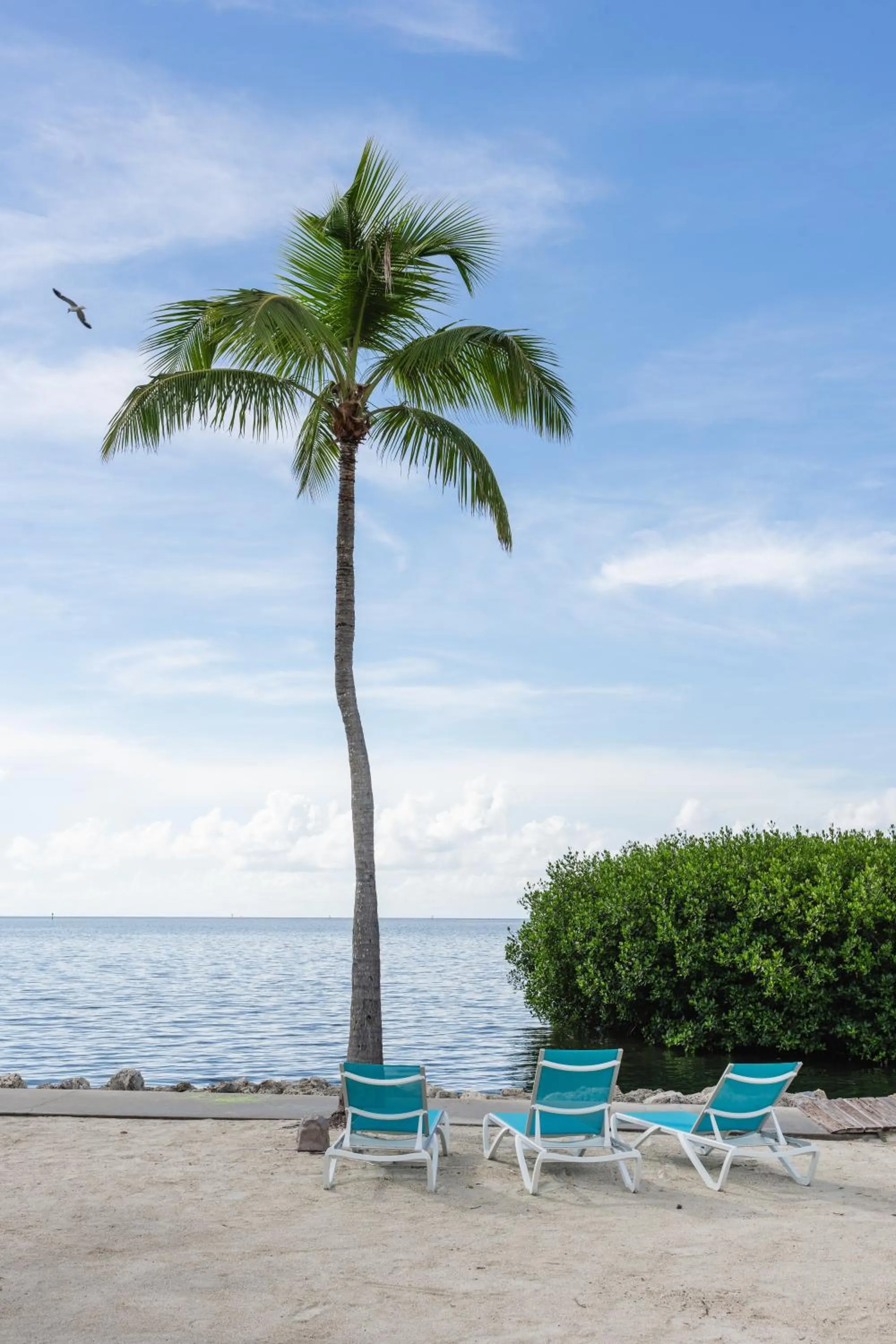 Beach in Fisher Inn Resort & Marina