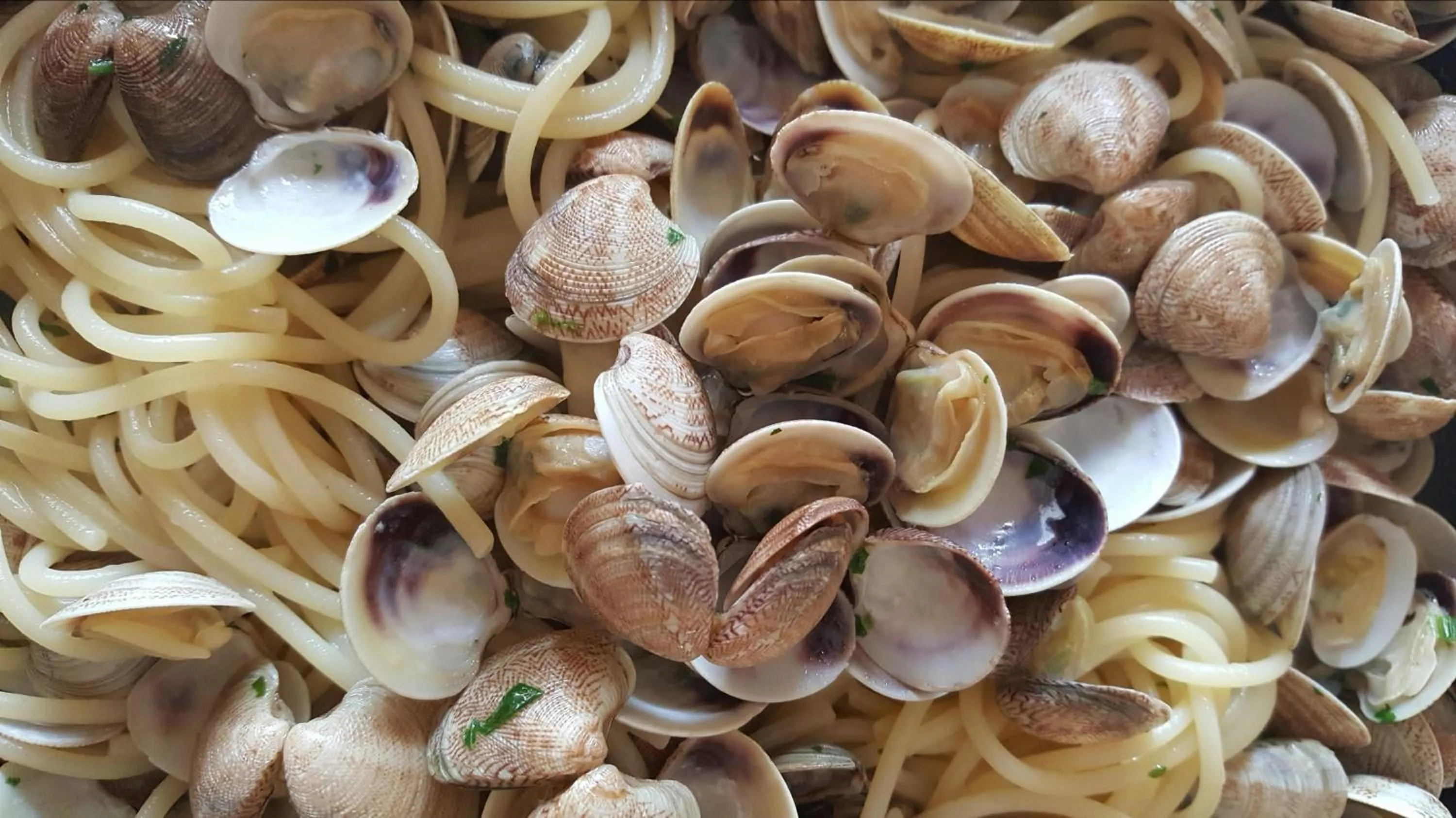 Restaurant/places to eat in Hotel Camelia