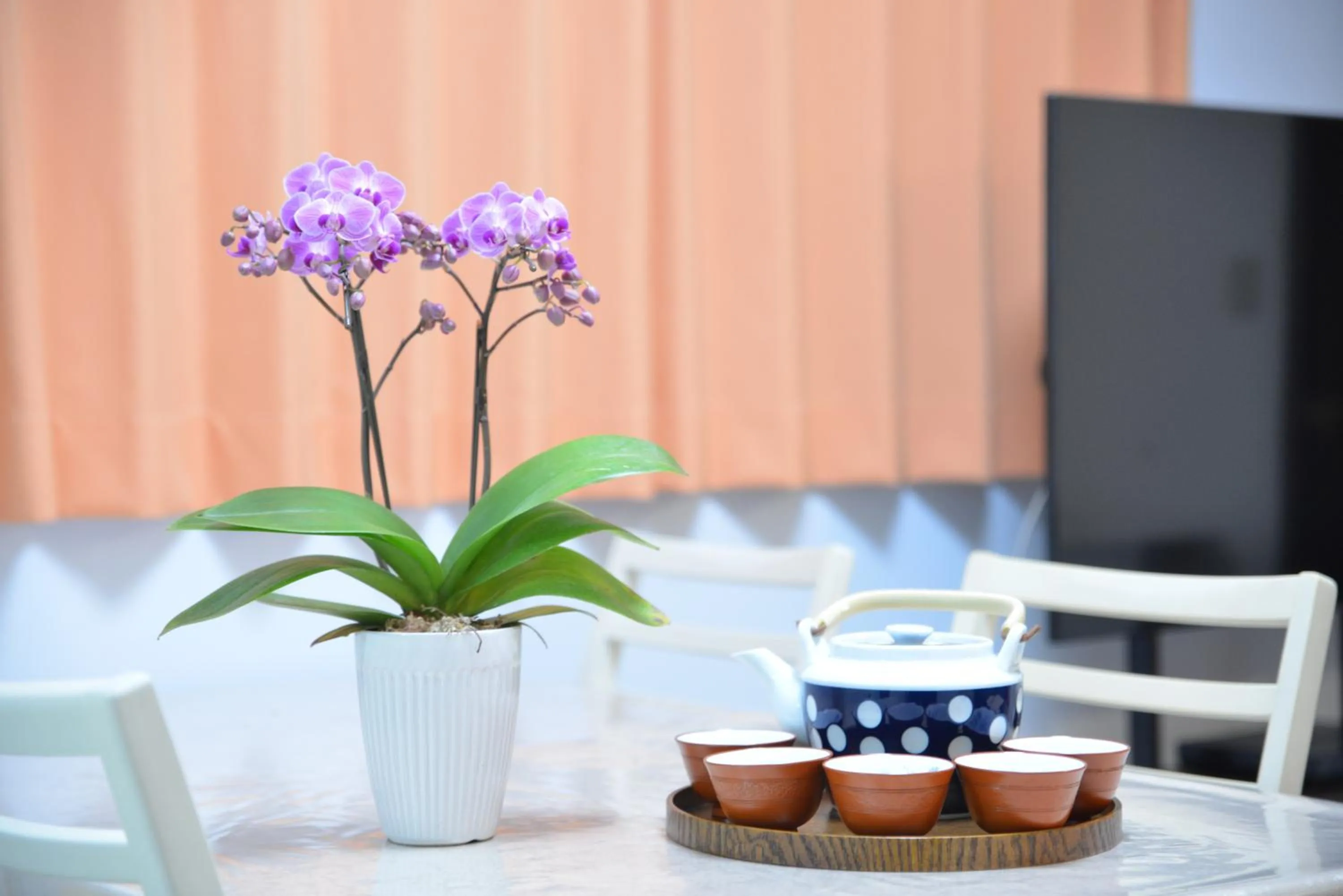 Dining area in K House