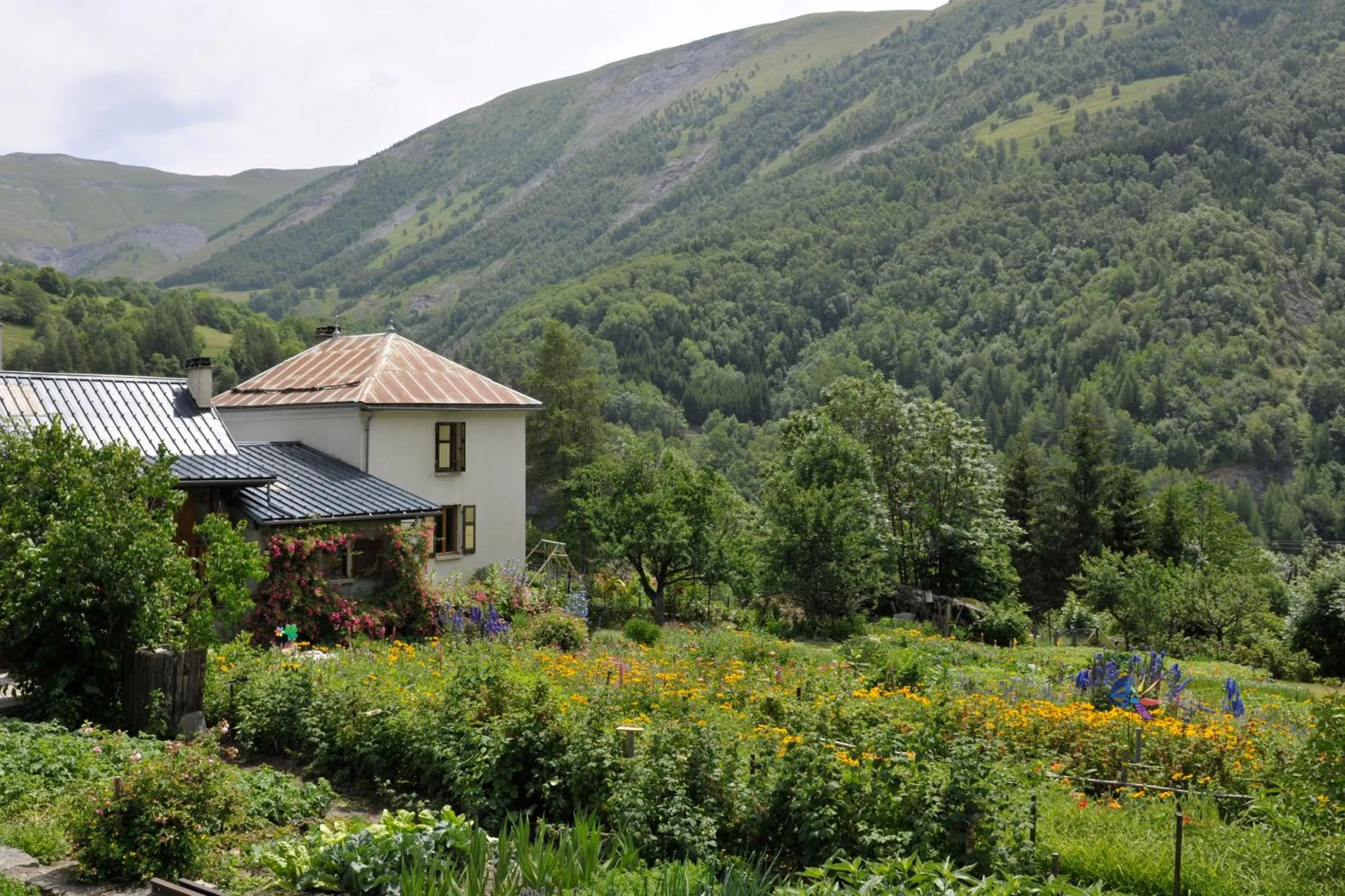 Natural landscape in Camping RCN Belledonne