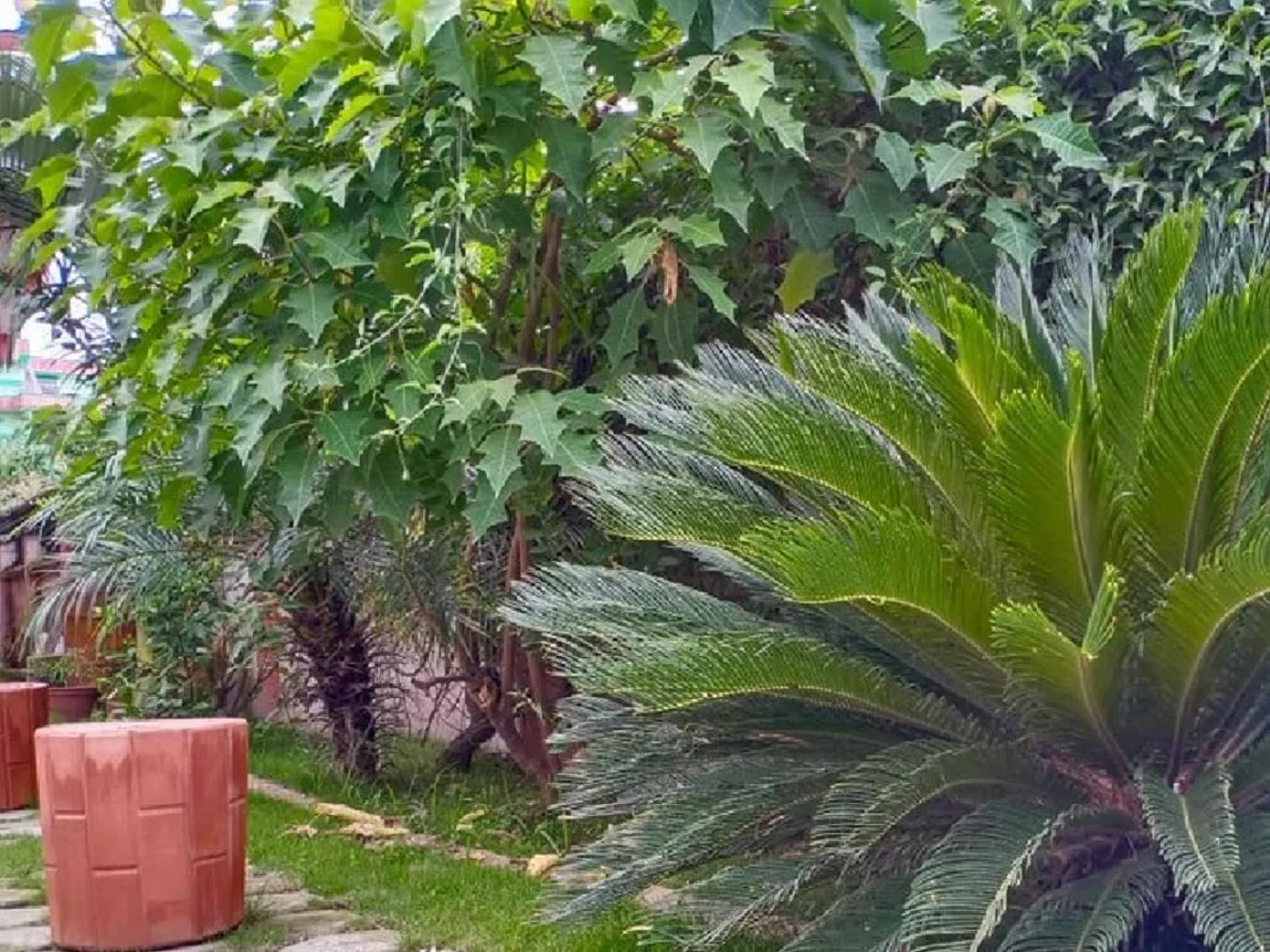 Garden in Chef House Resort