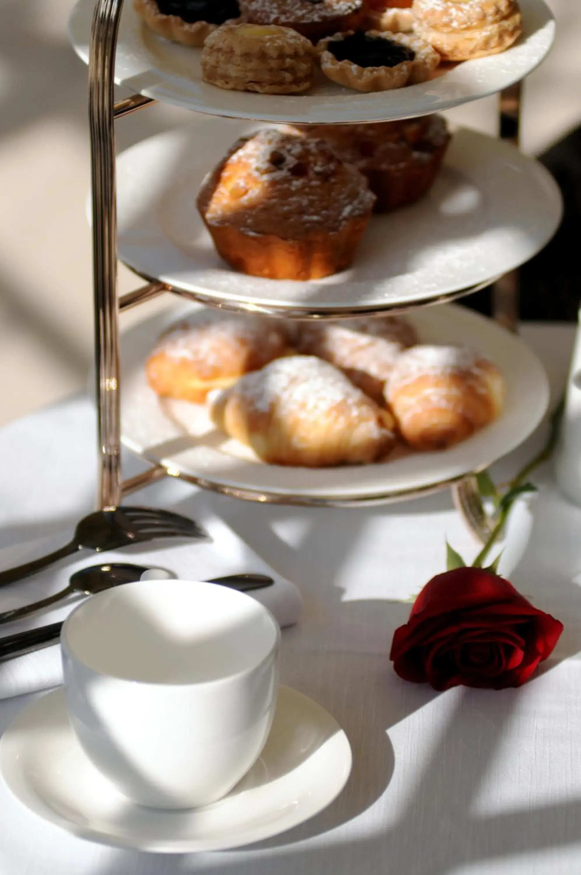 Food and drinks in Hotel Villa Duse Food and drinks in Hotel Villa Duse