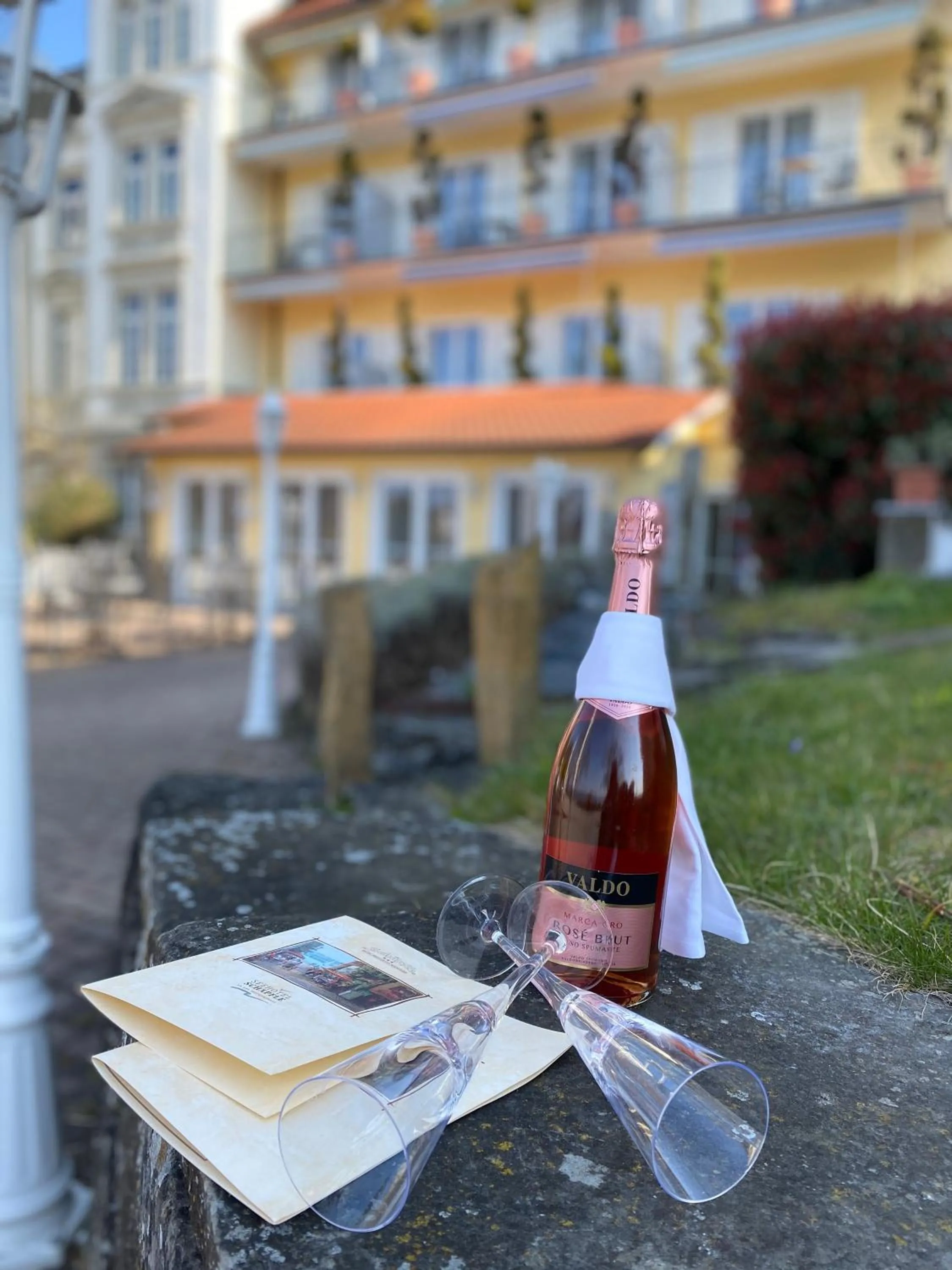 Seehotel Schäpfle