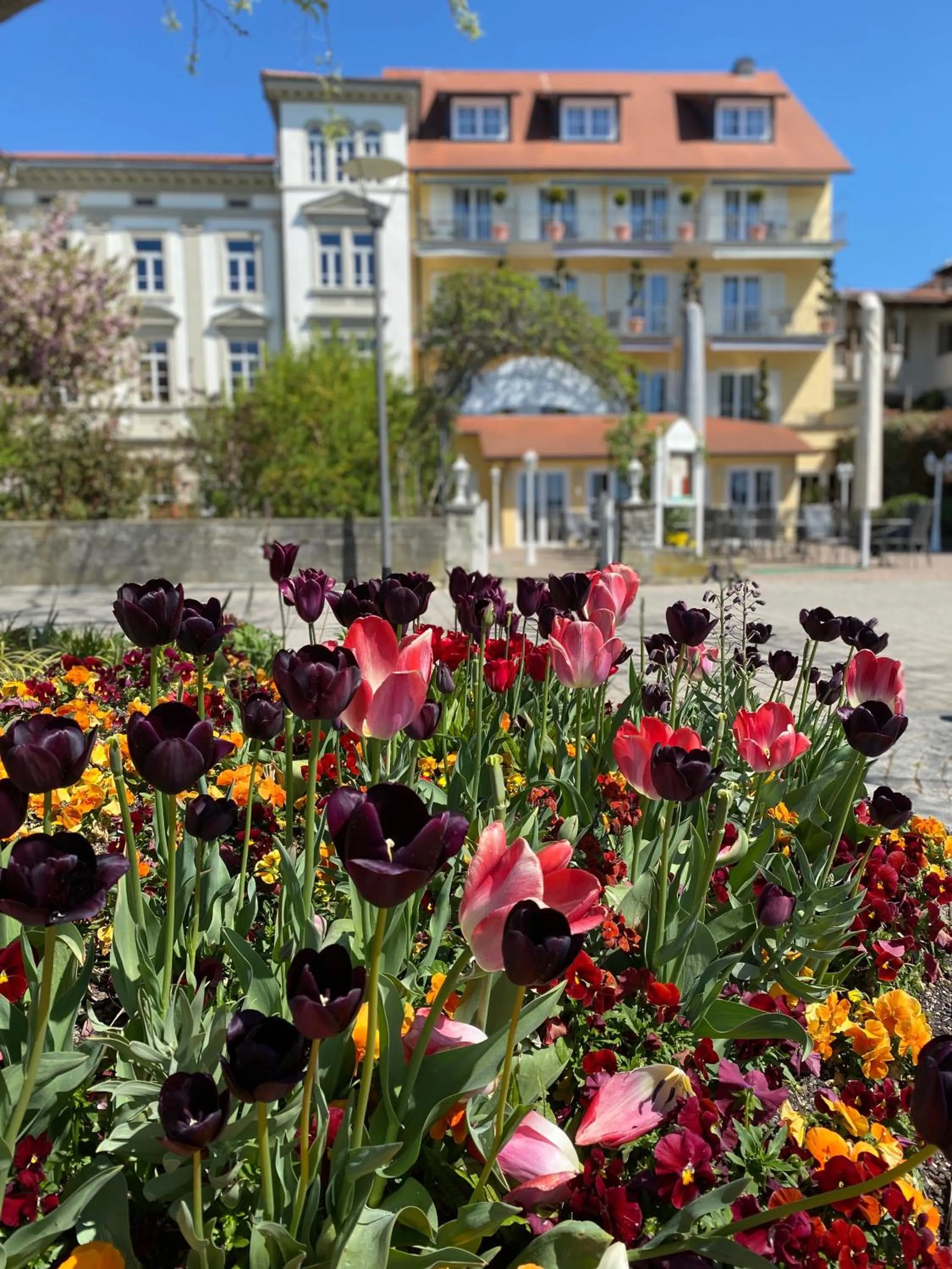 Seehotel Schäpfle