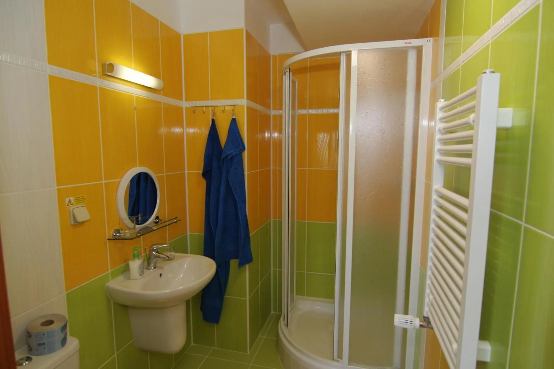 Twin Room - single occupancy in Hotel U Radnice