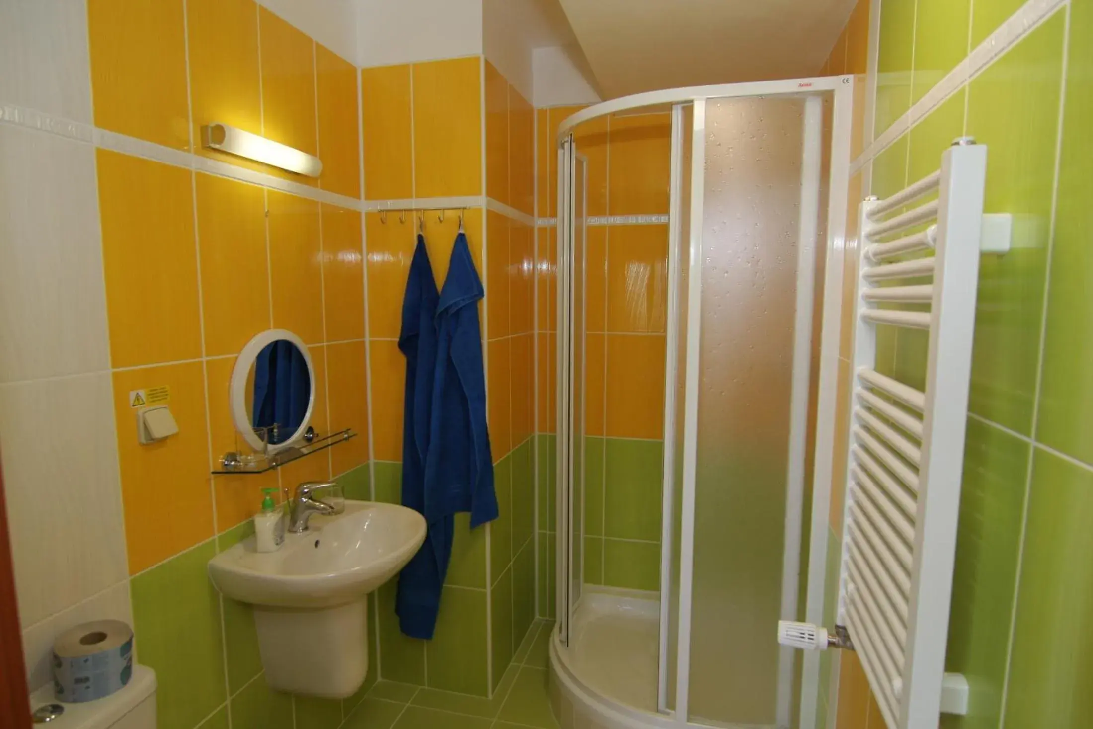 Twin Room - single occupancy in Hotel U Radnice Twin Room - single occupancy in Hotel U Radnice