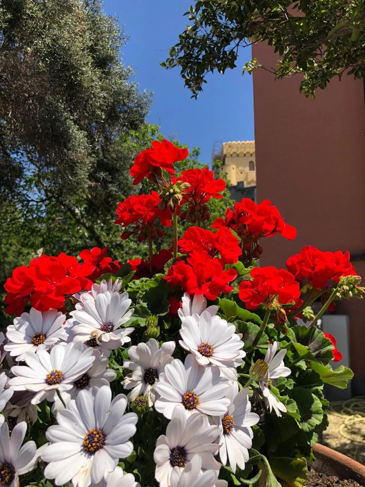 Garden in Sonnino B&B
