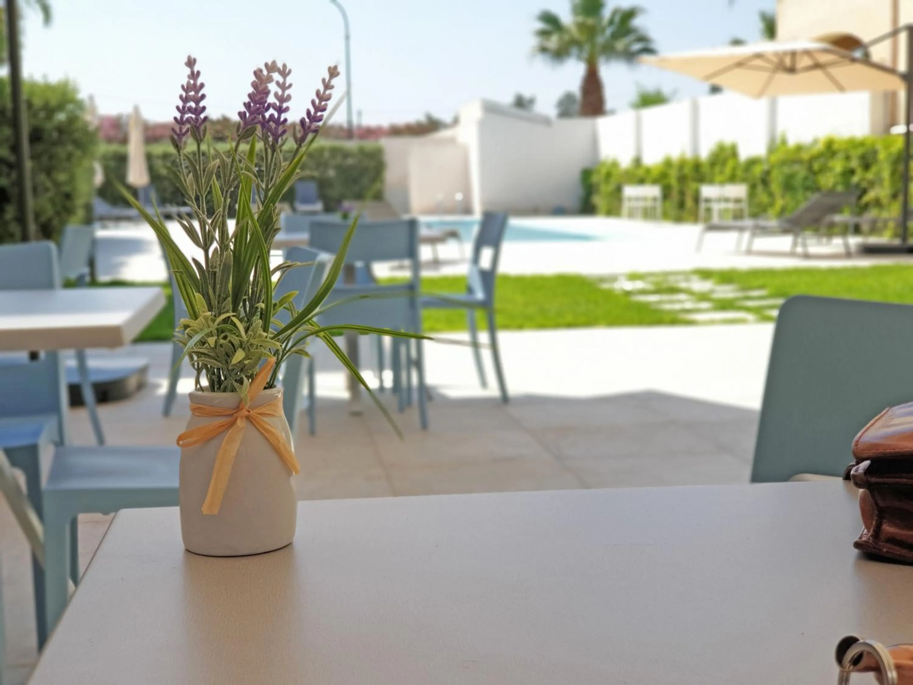 Garden view in Travini Hotel Residence