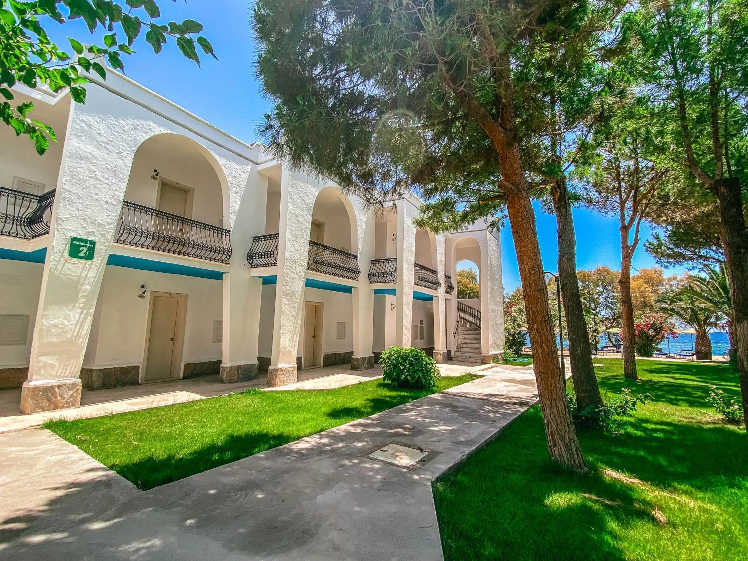 Garden in Club Muskebi