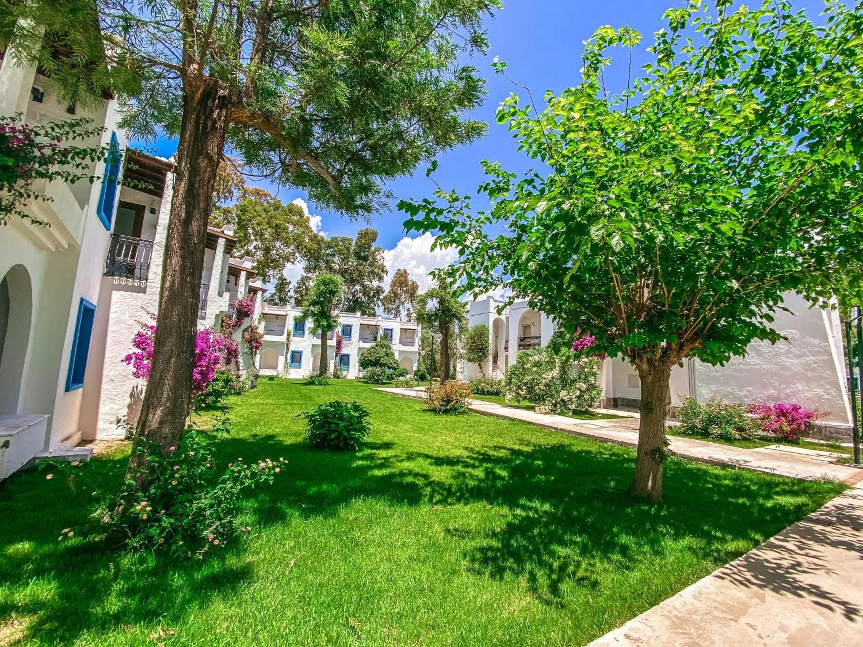 Garden in Club Muskebi