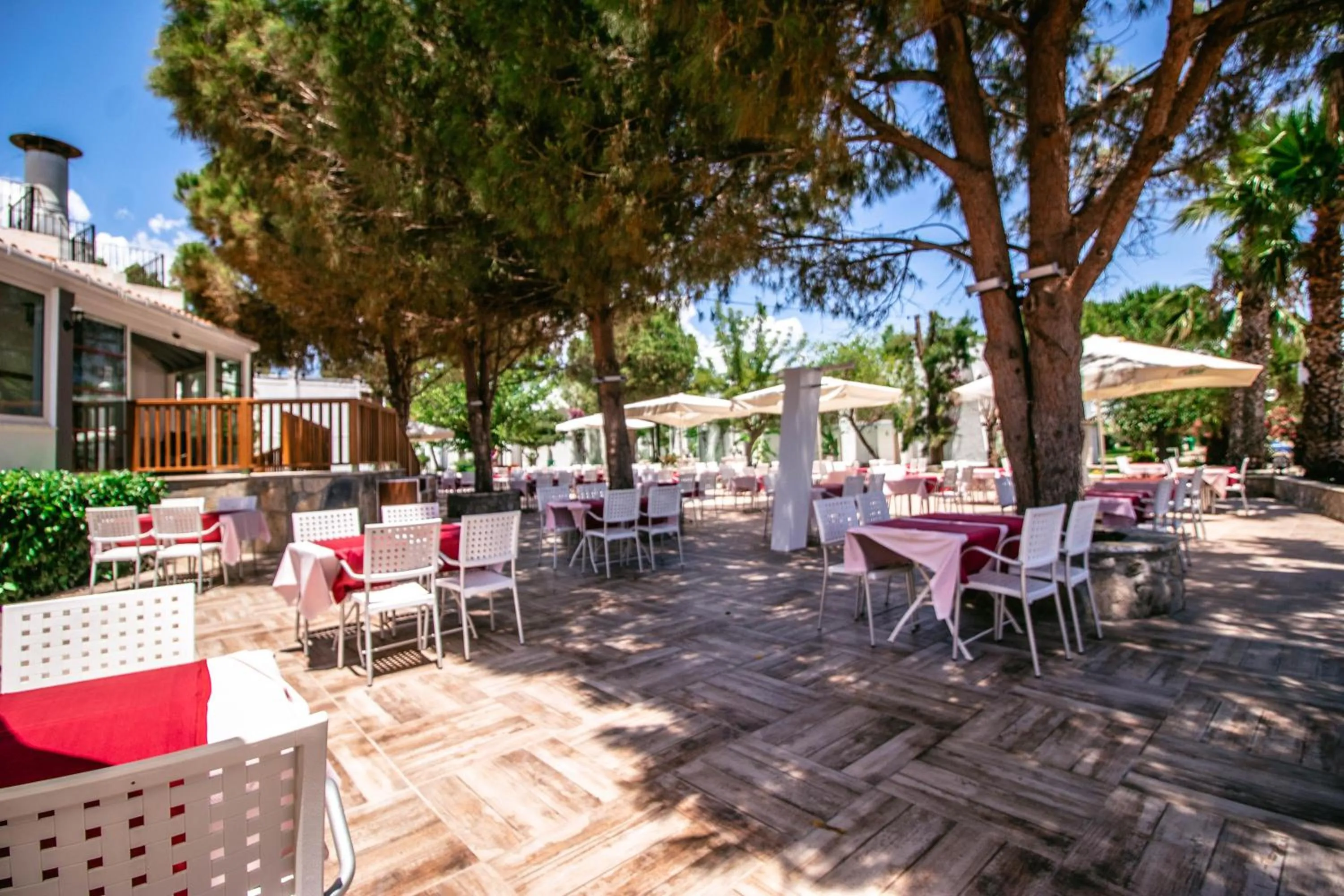 Patio in Club Muskebi