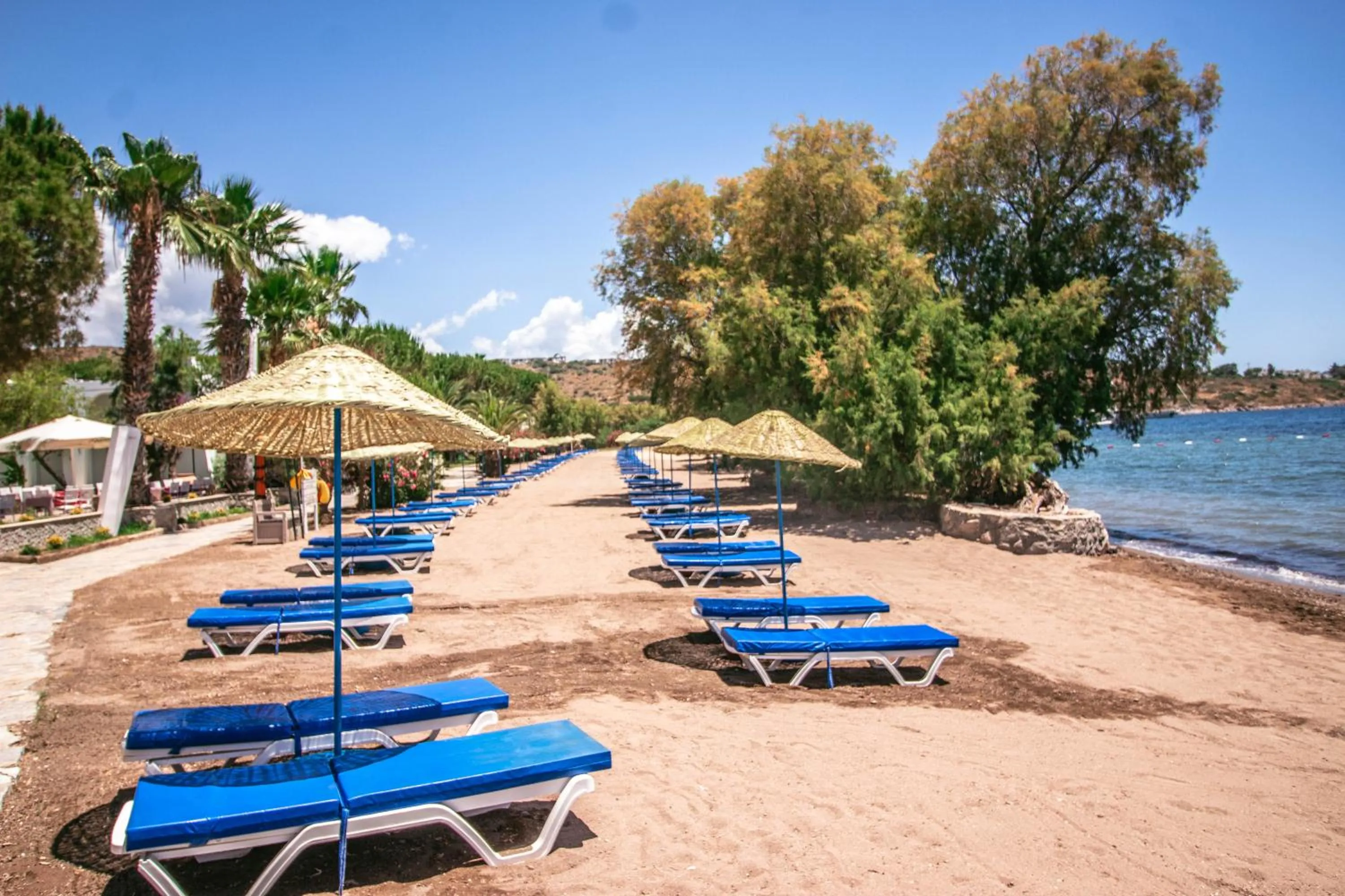 Beach in Club Muskebi