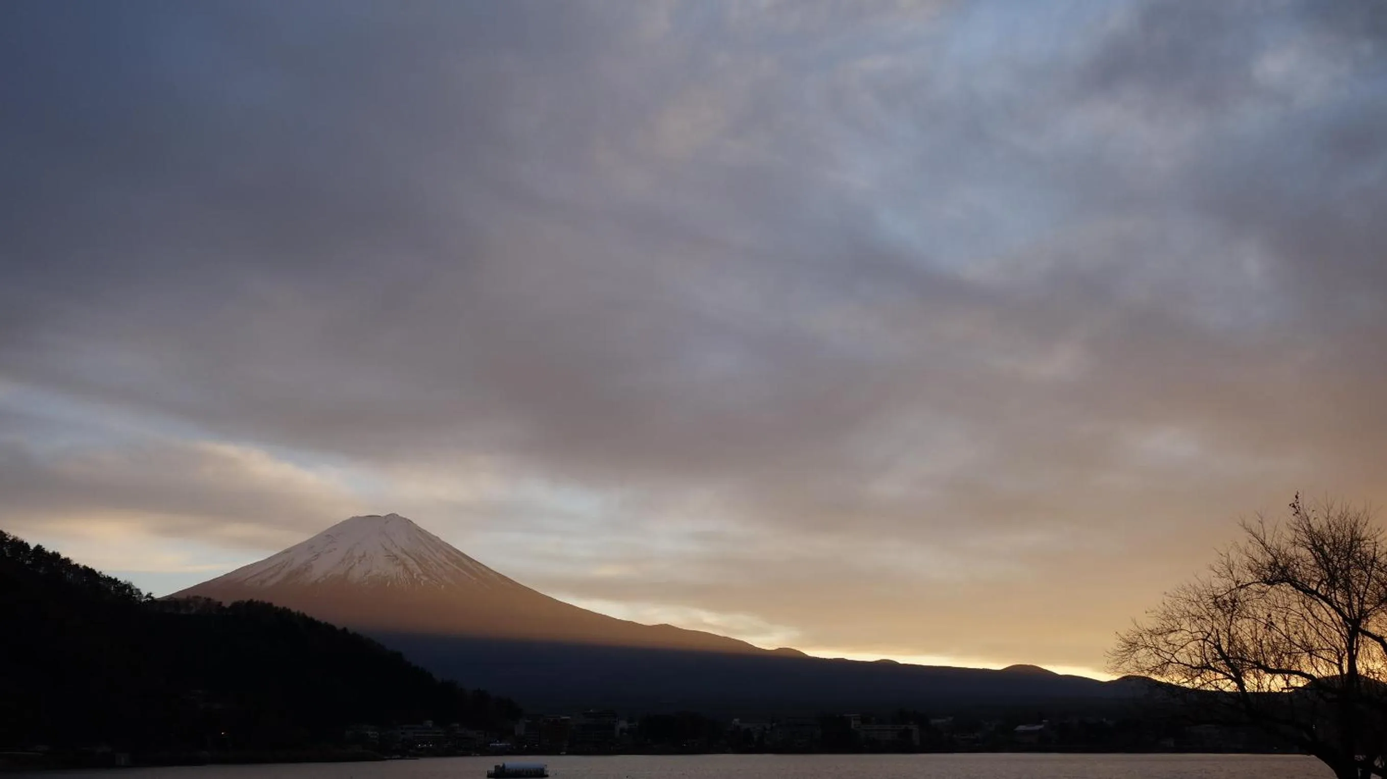 Natural landscape in Hotel New Century