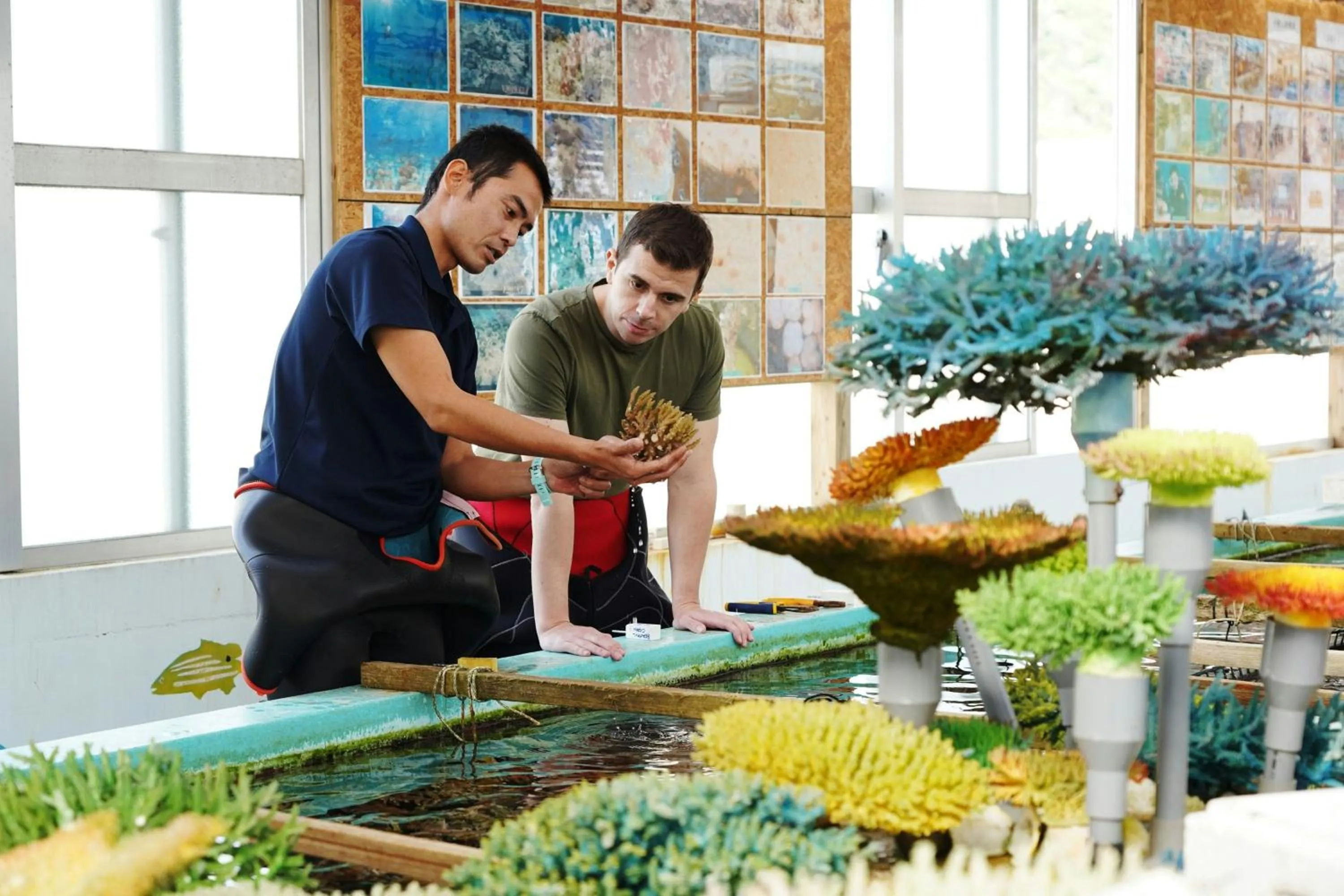 Other in The Ritz-Carlton Okinawa