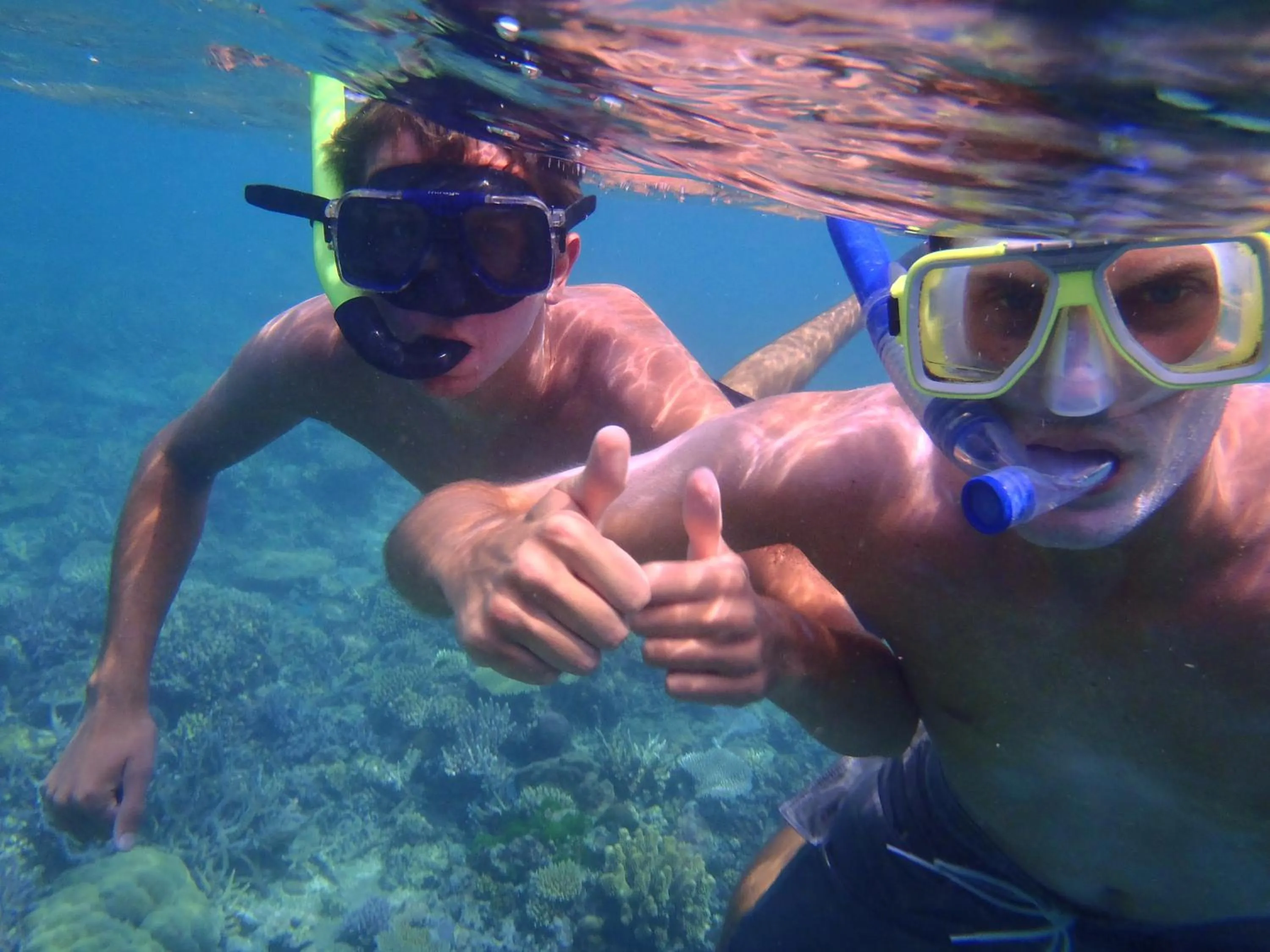 Diving in Barefoot Manta Island Resort