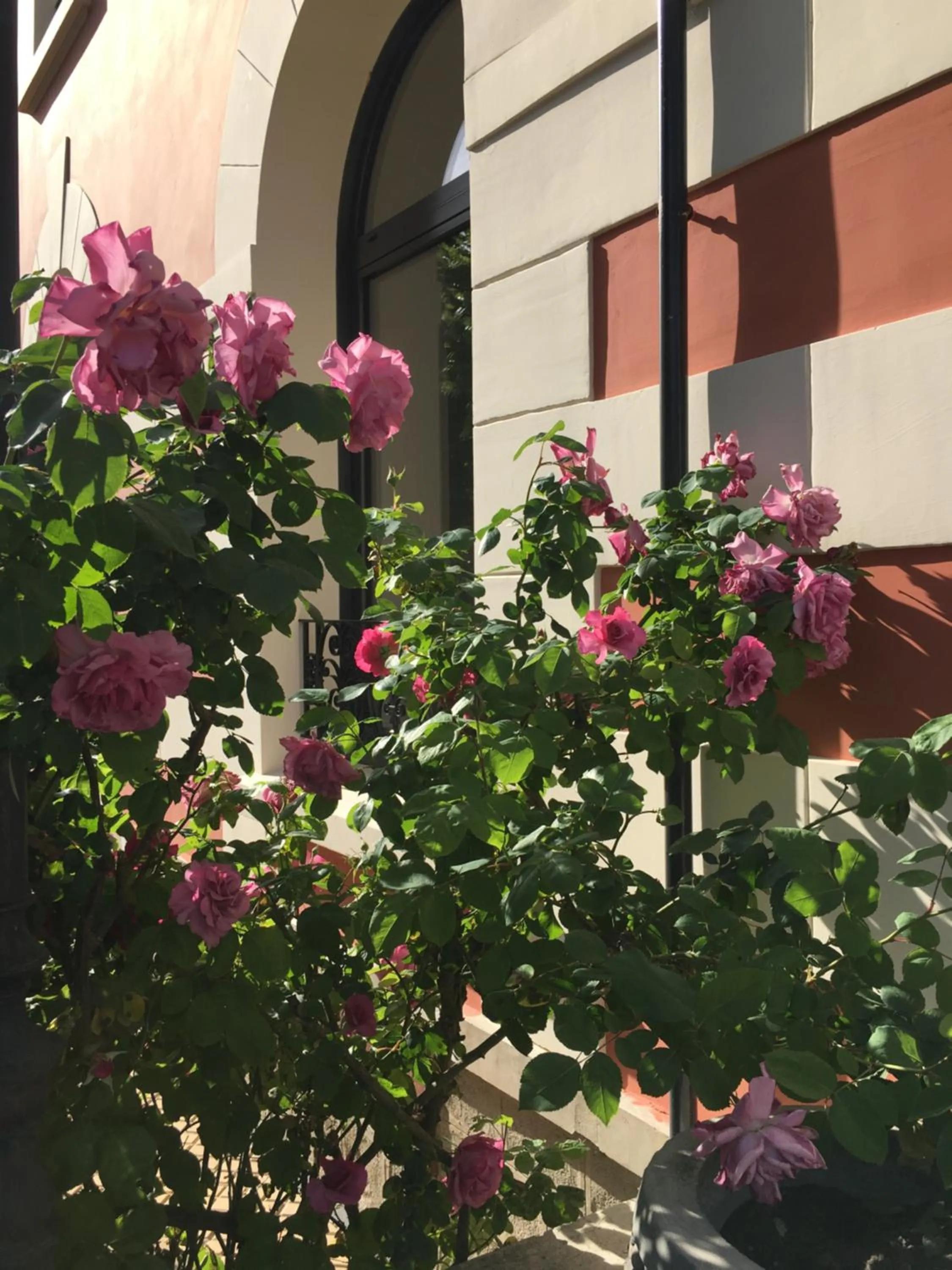 Le Clos de la Pomponnette