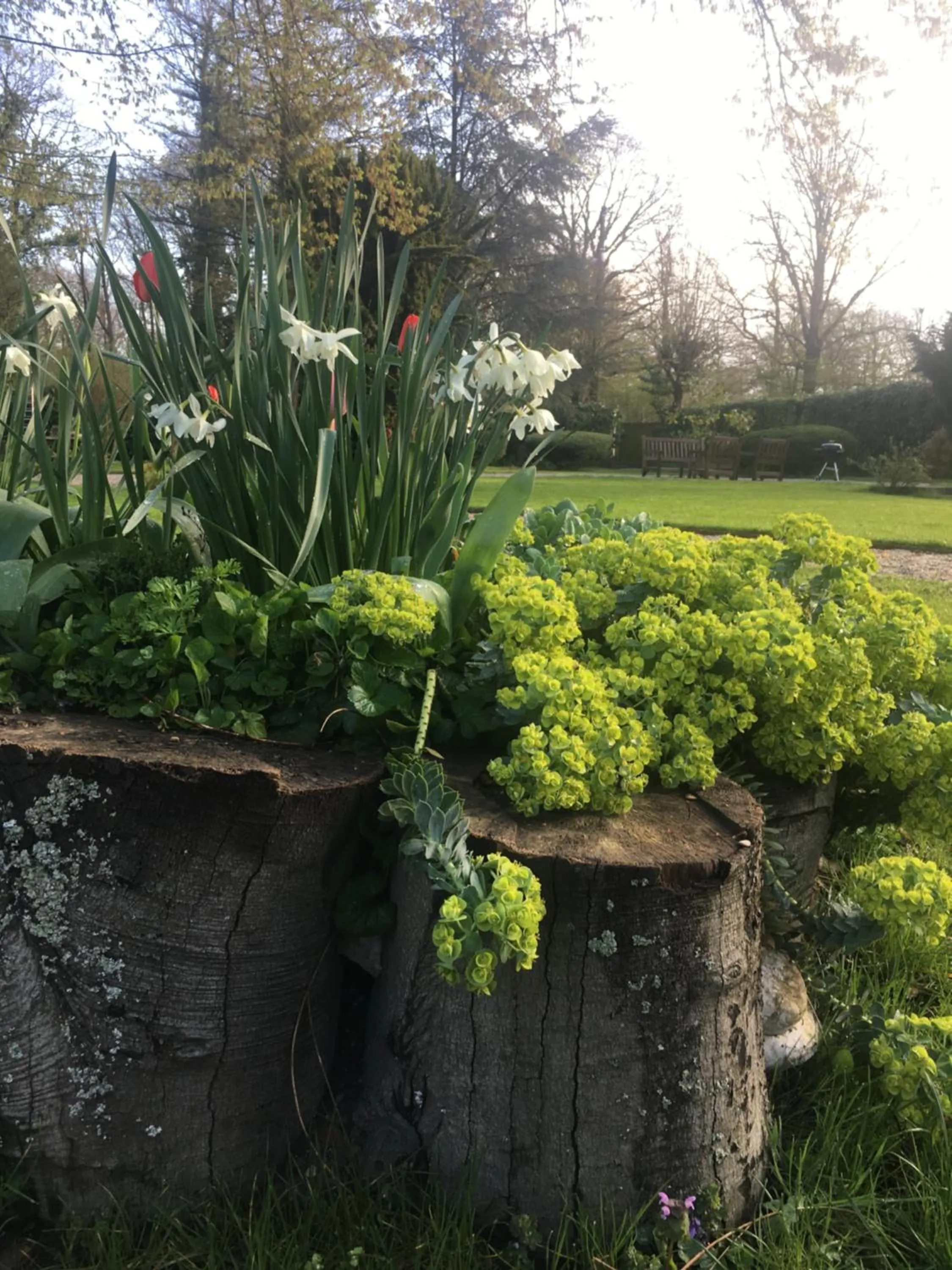 Le Clos de la Pomponnette