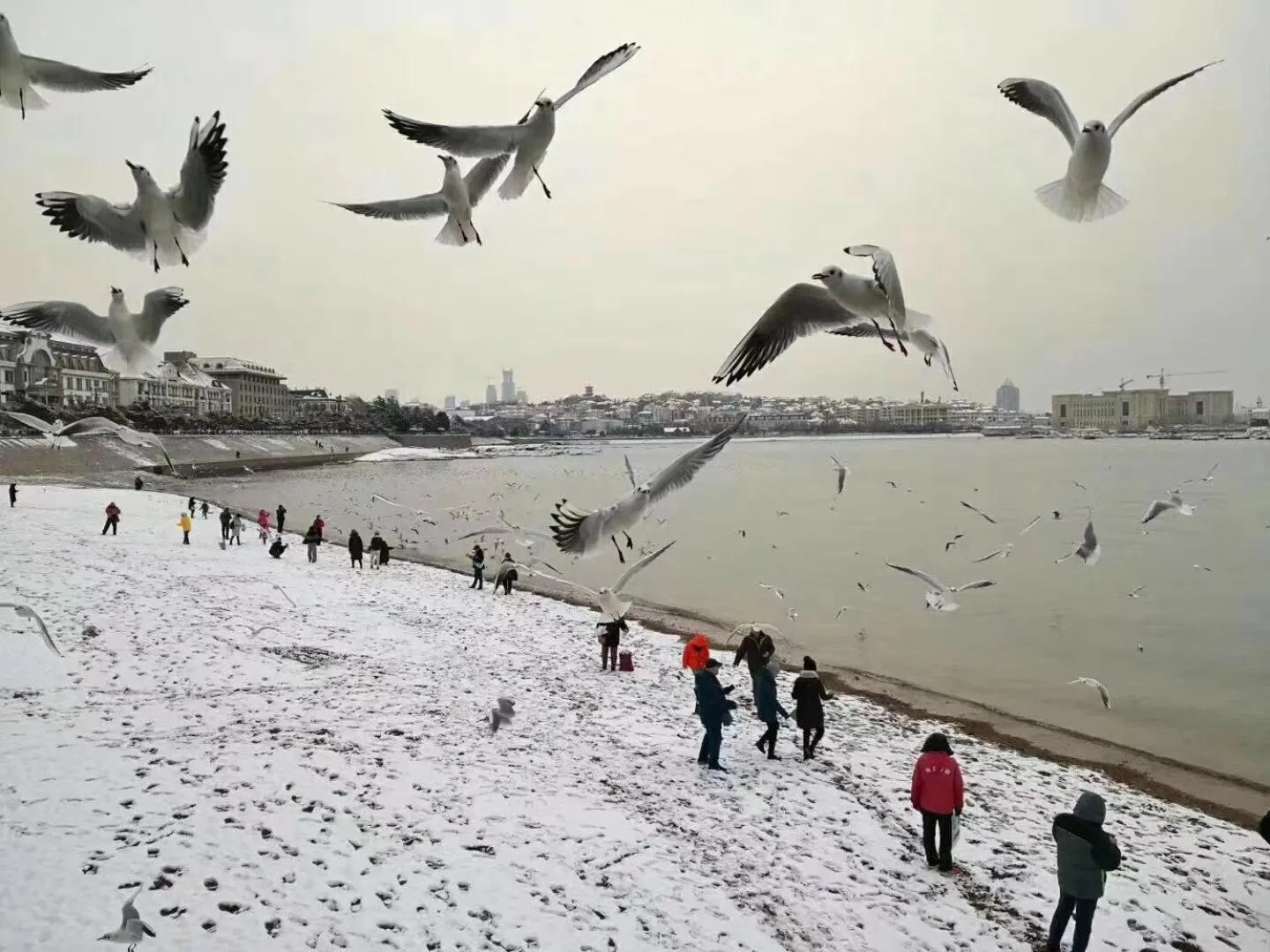 Qingdao Oceanwide Elite Hotel