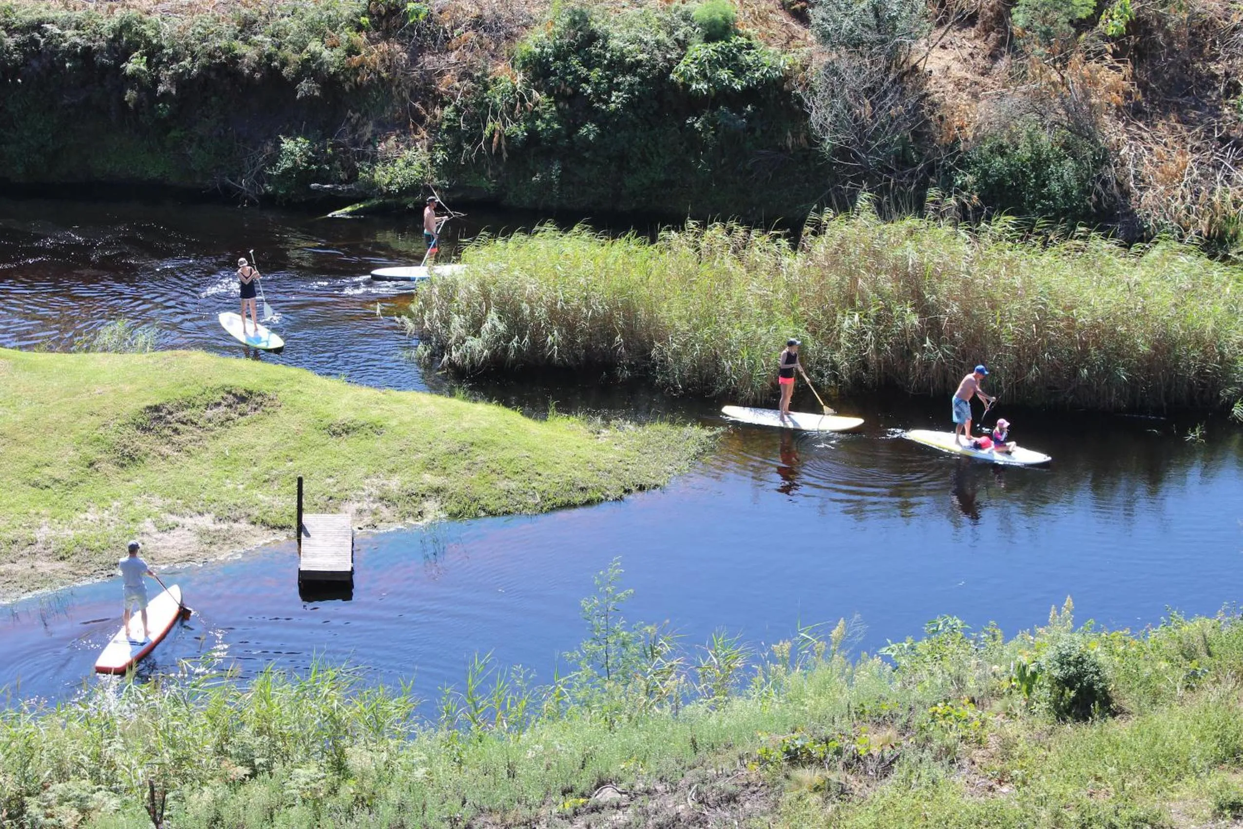 Summer in Blackwaters River Lodge, Knysna