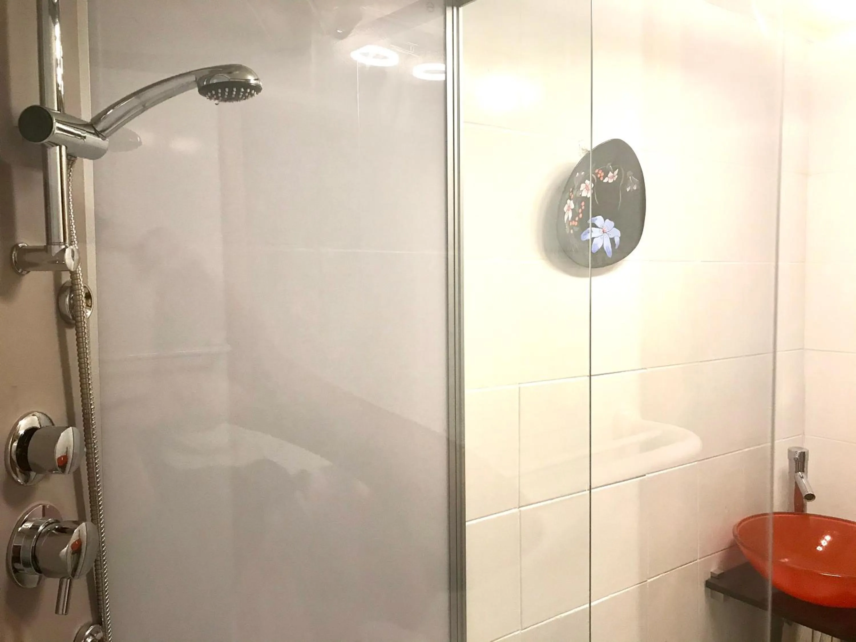 Shower in AUX DEUX CIGOGNES AMMERSCHWIHR