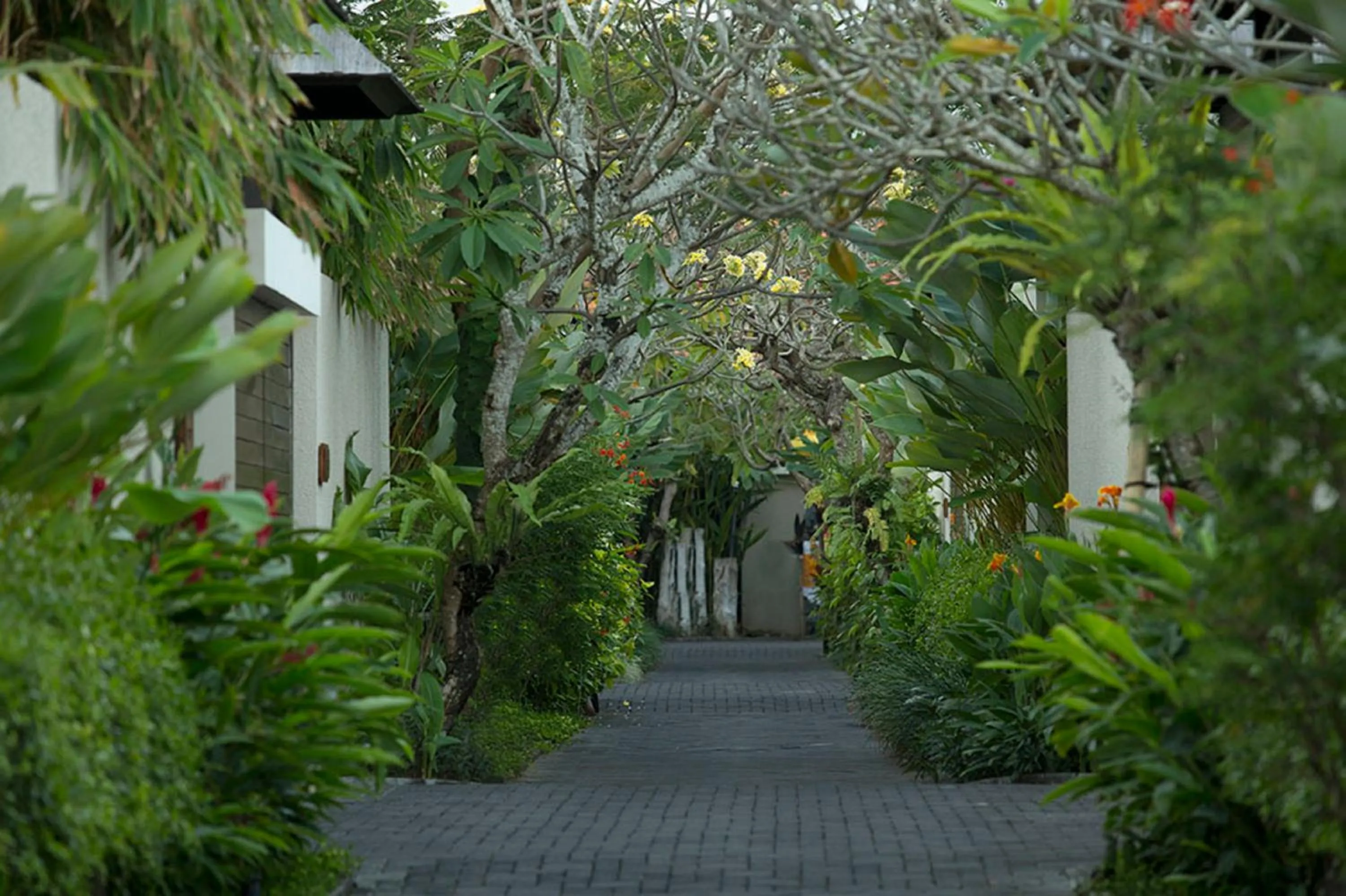 Garden in Berry Amour Romantic Villas