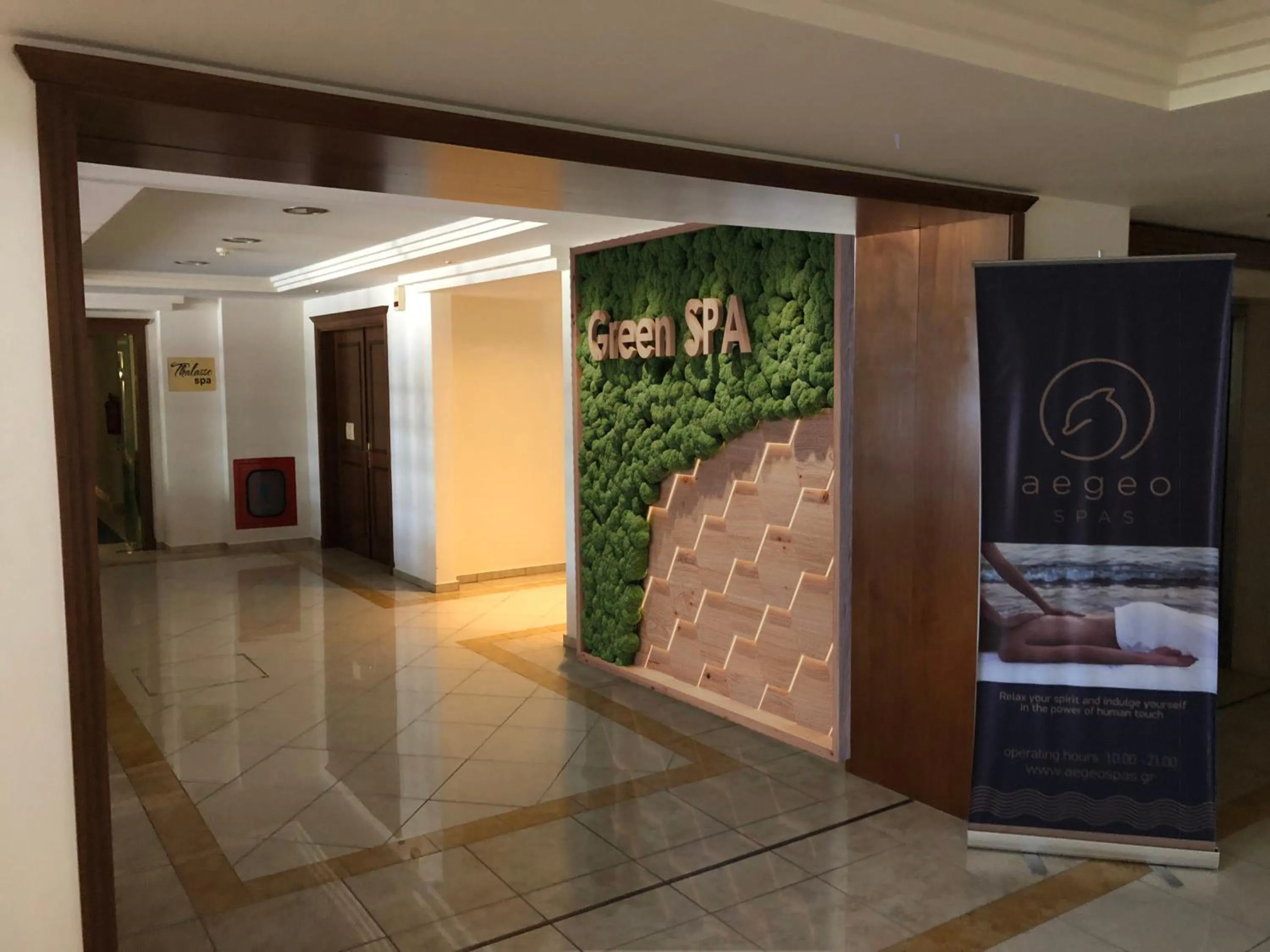 Spa and wellness centre/facilities in Aegean Melathron Thalasso Spa Hotel