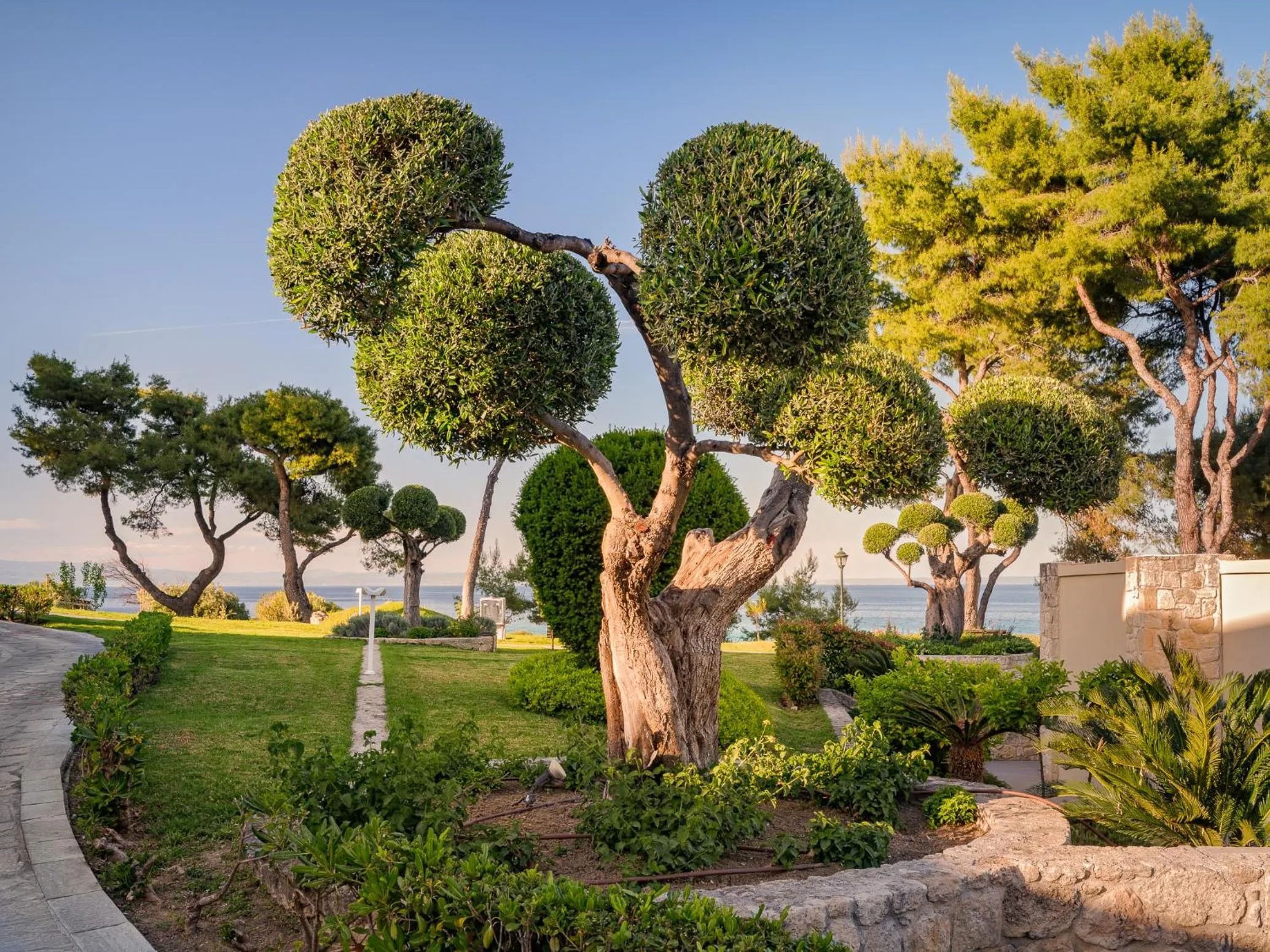 Garden in Aegean Melathron Thalasso Spa Hotel