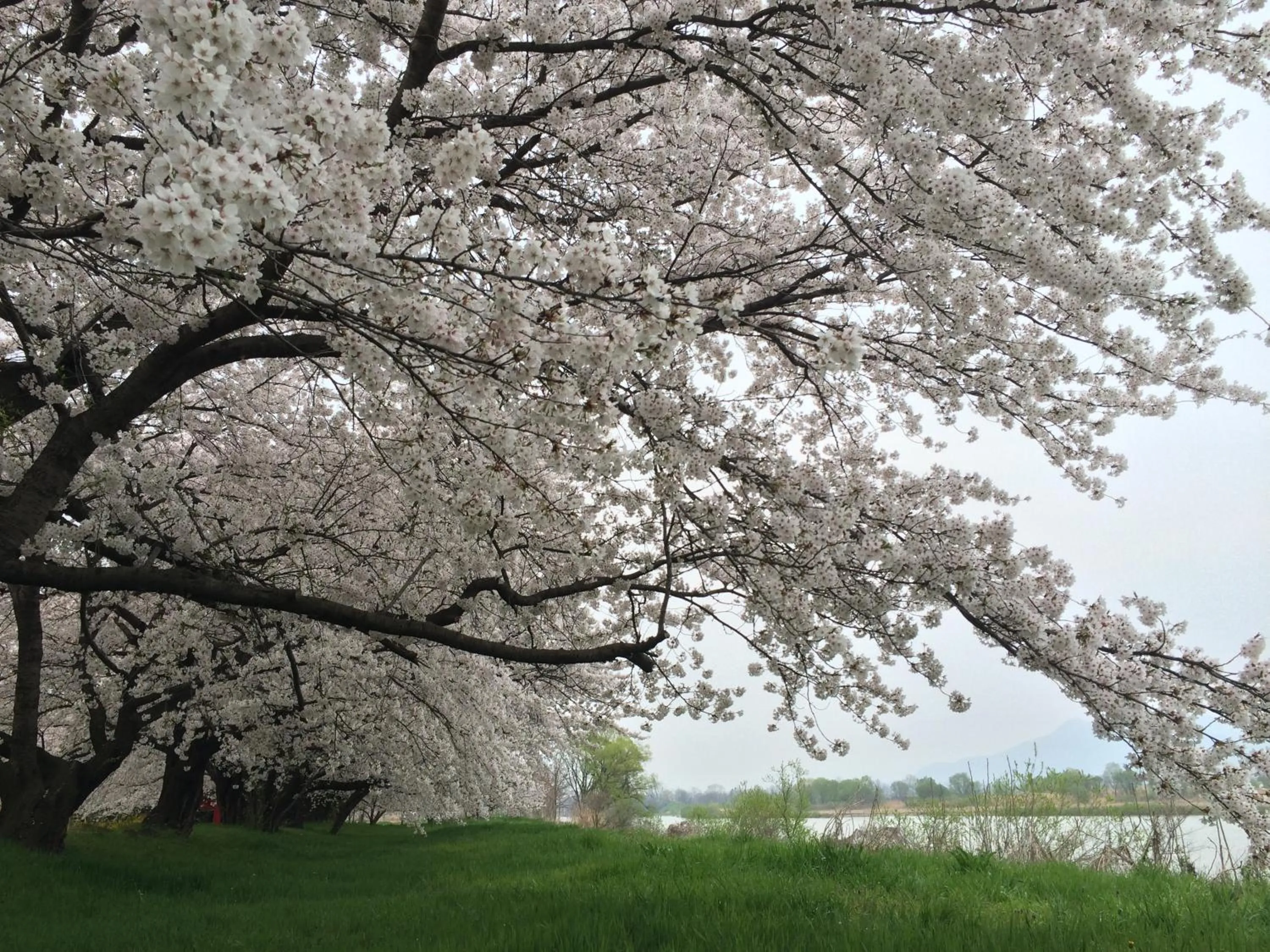 Seasons in Yudanaka Onsen Yamazakiya